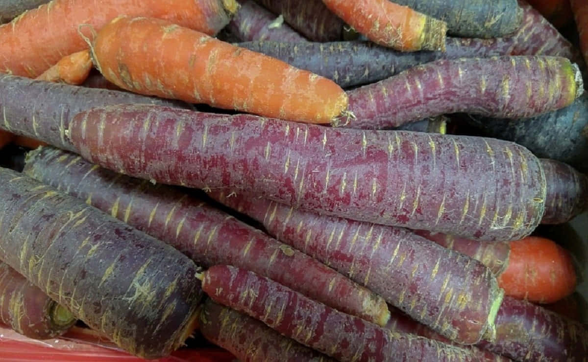 Purple Carrots, heirloom carrots, deep purple, SD Desktop Wallpaper