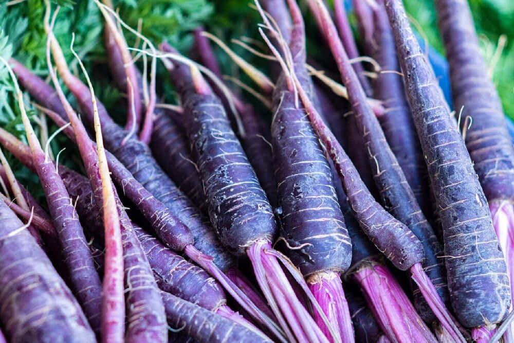 Purple Carrots, vibrant purple carrots, green tops, SD Desktop Wallpaper
