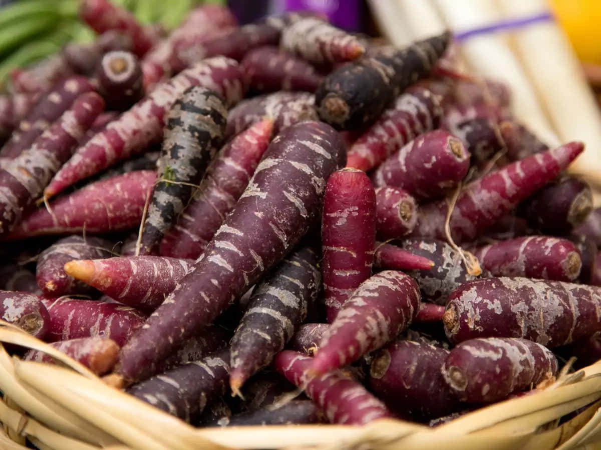 Purple Carrots, vibrant purple carrots, white stripes, SD Desktop Wallpaper