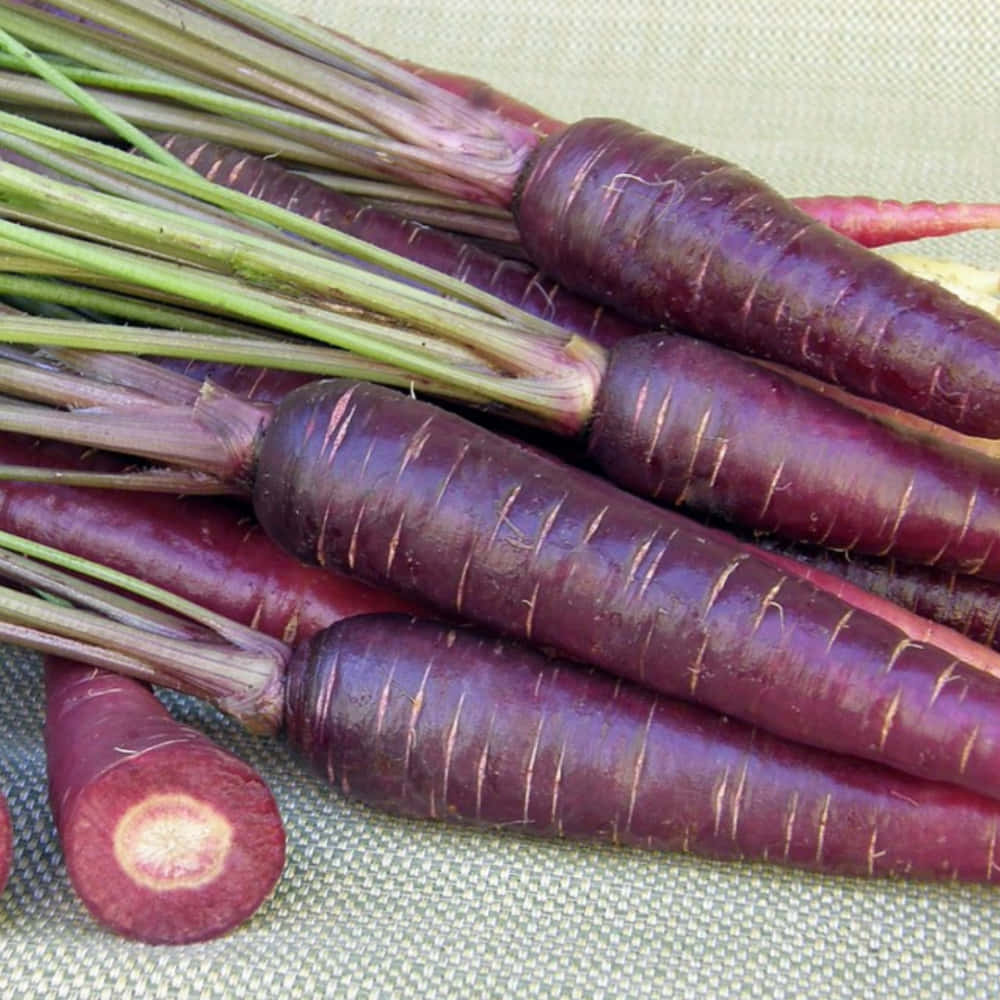 Purple Carrots, vibrant purple carrots, green tops, SD Desktop Wallpaper