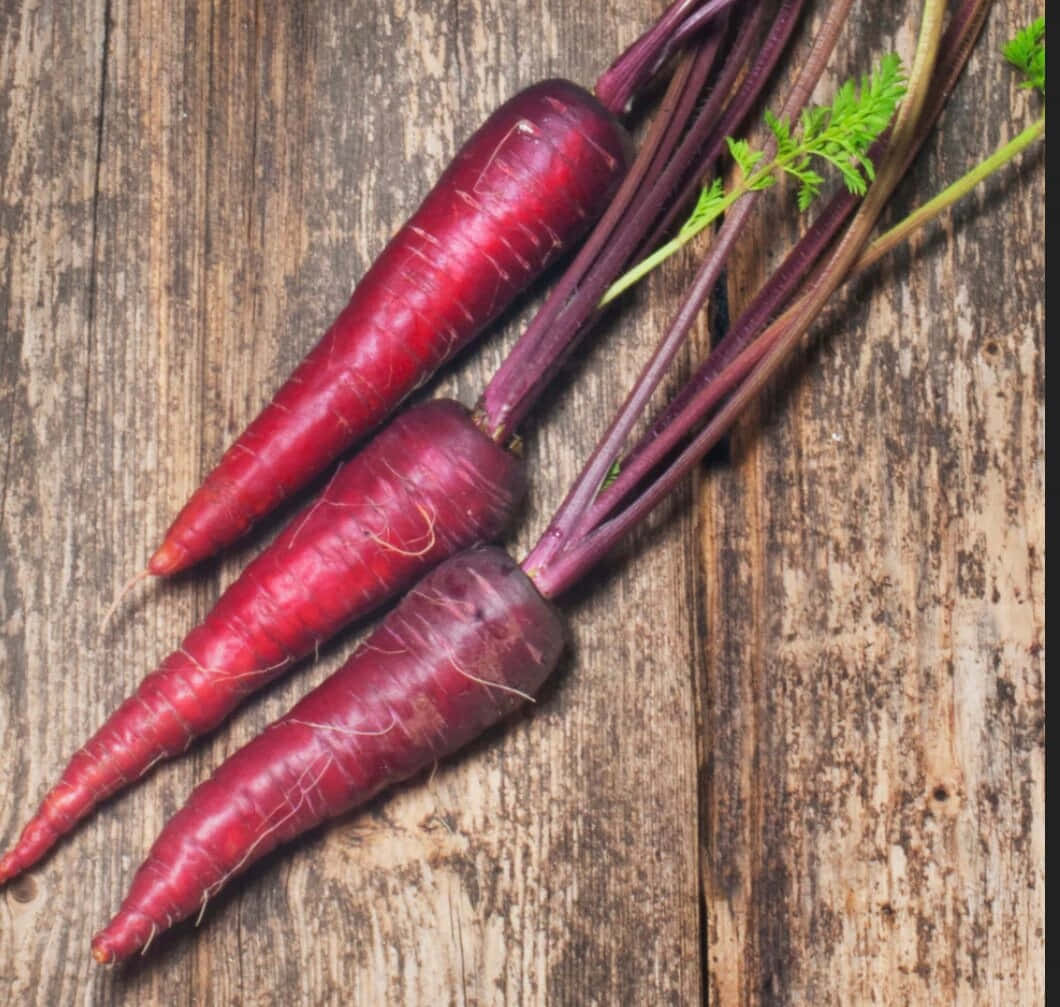 purple carrots, three vibrant purple carrots, green tops, SD Desktop Wallpaper