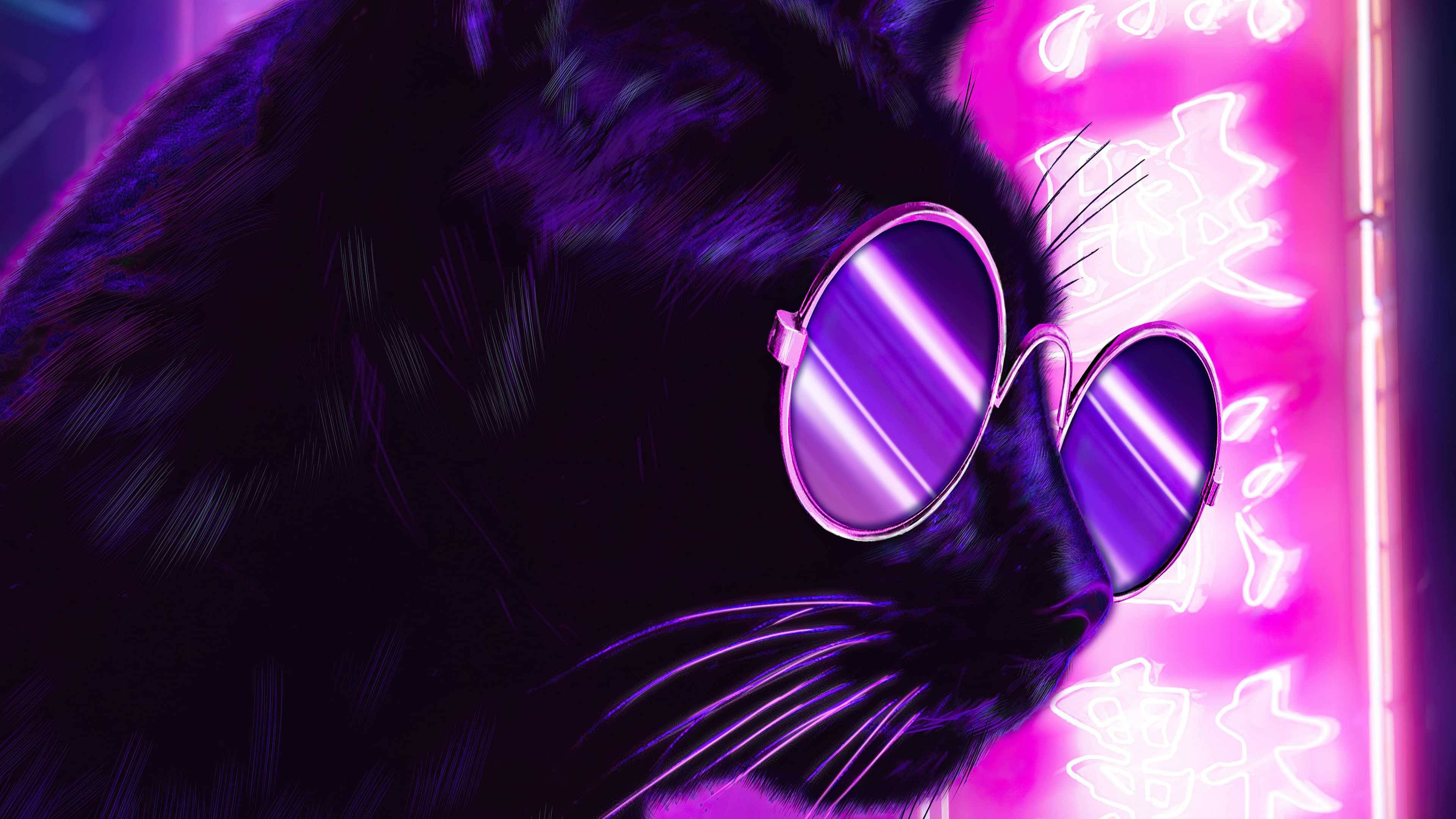 purple aesthetic, black cat, round purple sunglasses, 4K Desktop Wallpaper