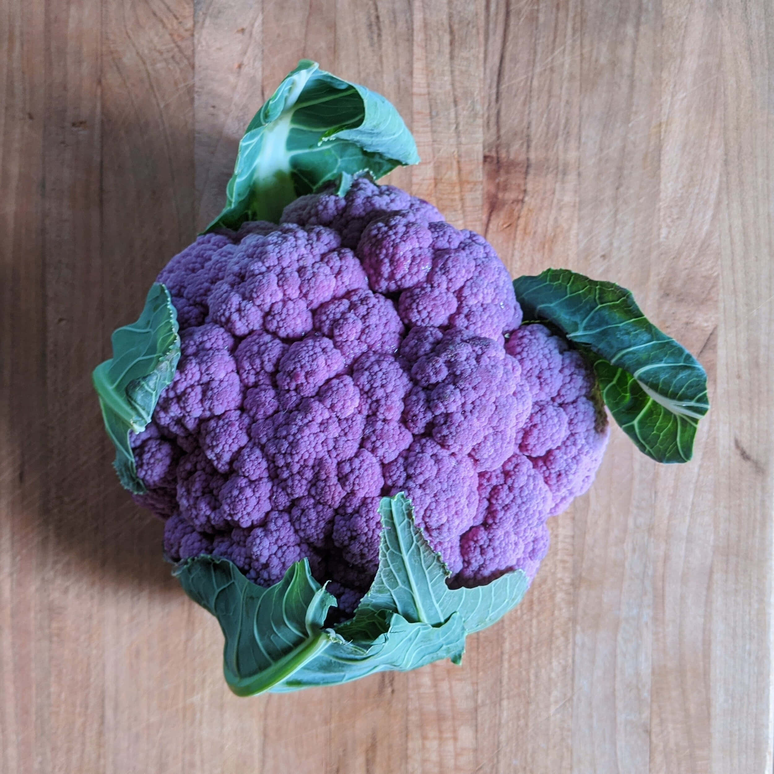 Purple Cauliflower, vibrant purple, green leaves, Full HD Desktop Wallpaper