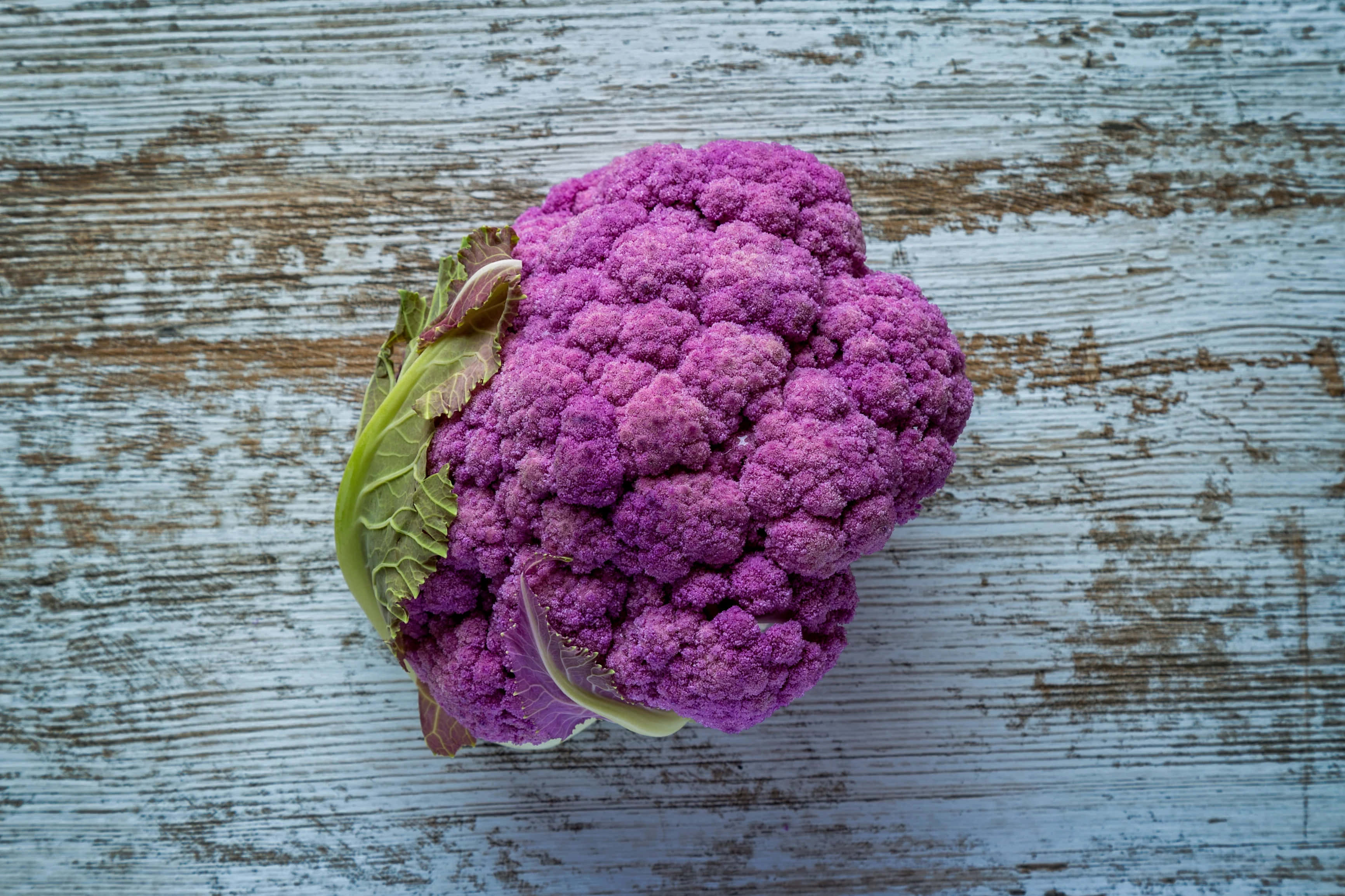 Purple Cauliflower, vibrant purple, weathered blue wooden surface, 2K Desktop Wallpaper