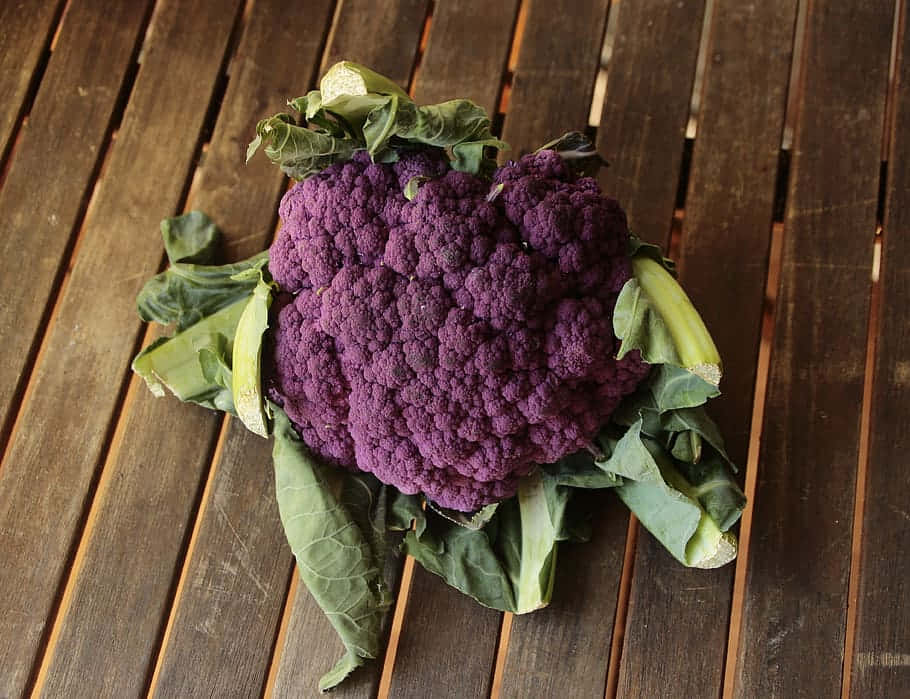 Purple Cauliflower, vibrant purple, green leaves, SD Desktop Wallpaper
