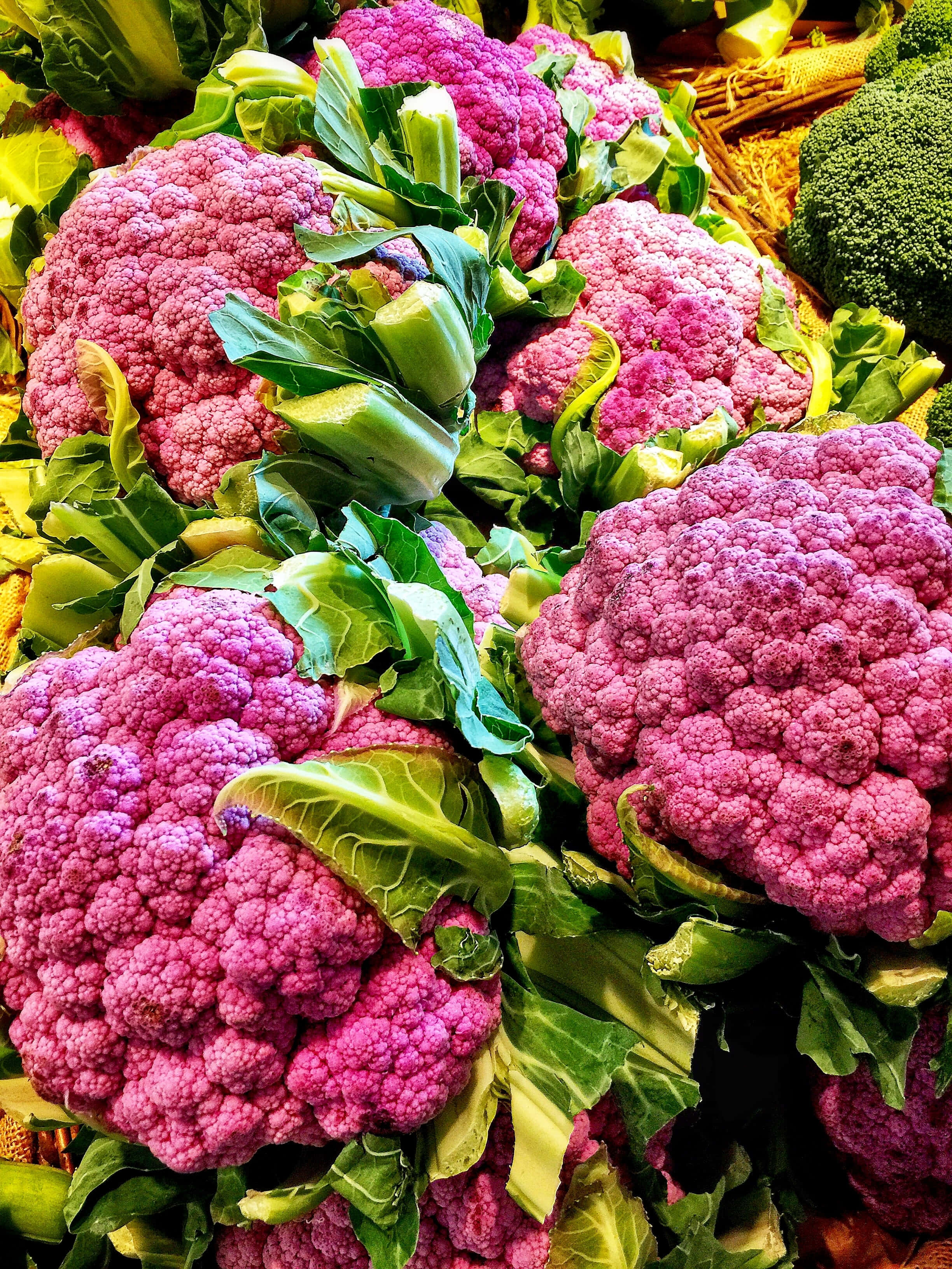 Purple Cauliflower, vibrant purple, lush green leaves, 2K Phone Wallpaper