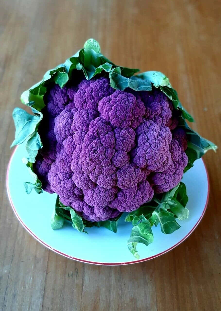 purple cauliflower, white plate, red rim, HD Phone Wallpaper