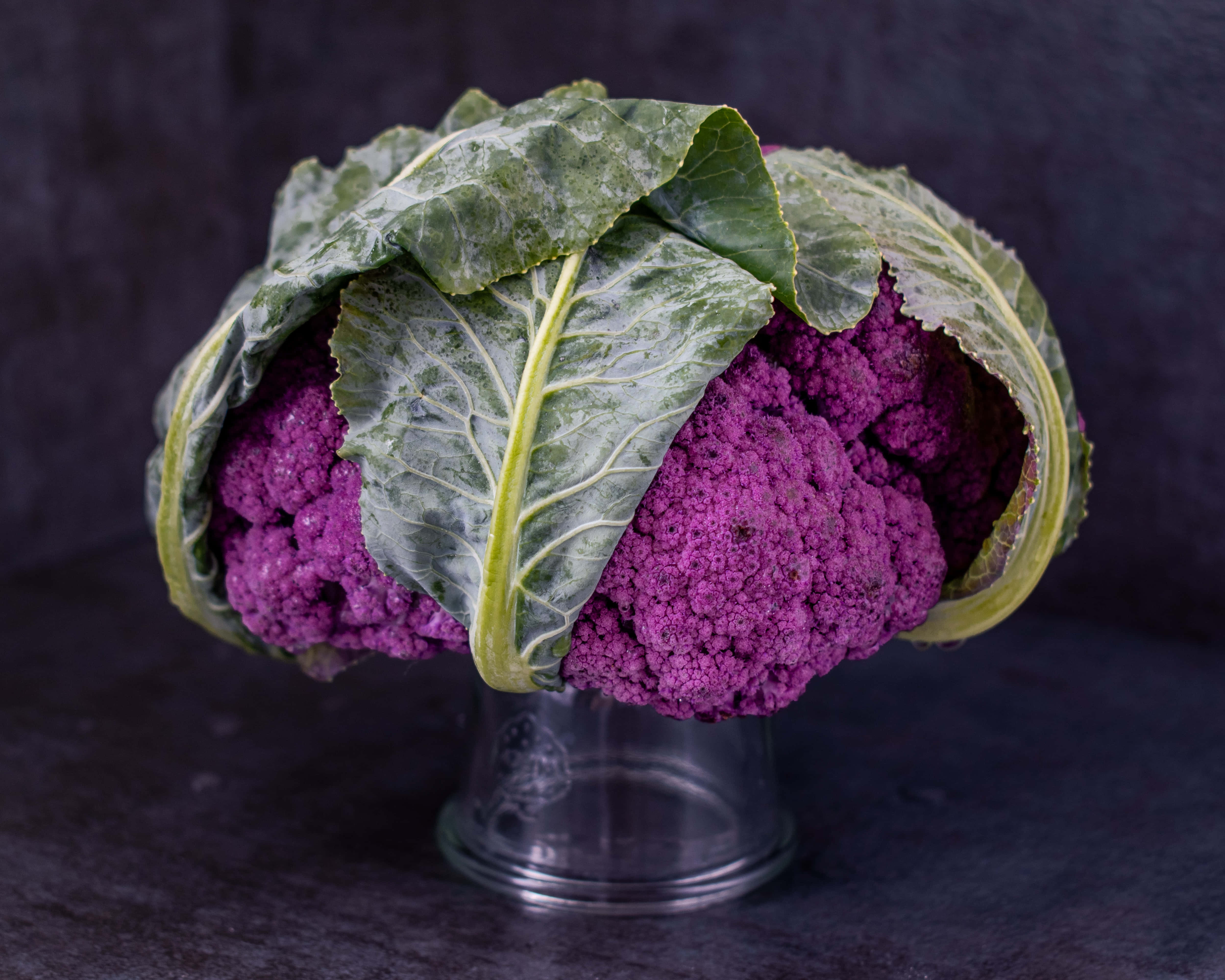 Purple Cauliflower, glass vase, dark textured backdrop, 4K Desktop Wallpaper