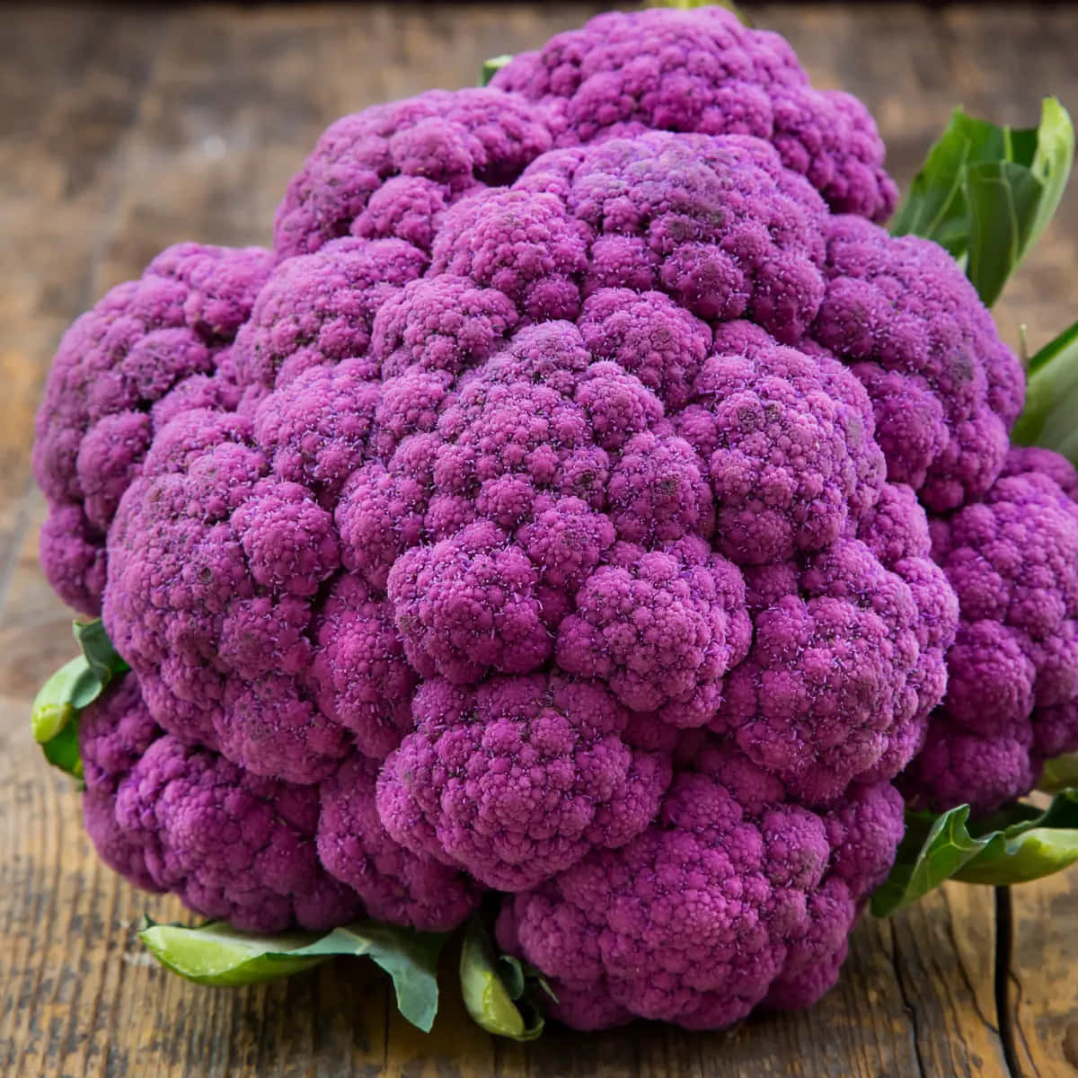 purple cauliflower, textured florets, rustic wooden surface, SD Desktop Wallpaper