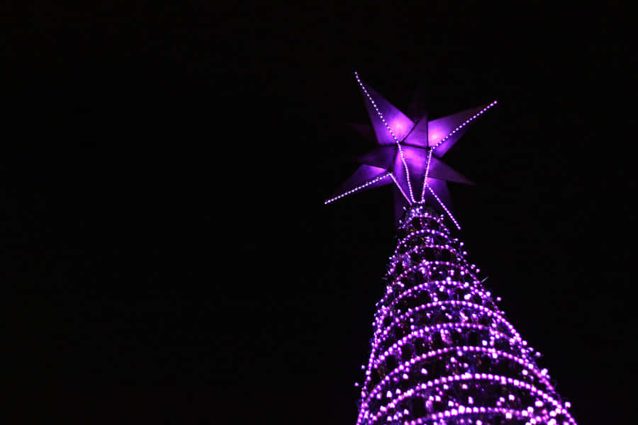 Purple Christmas, towering purple-lit Christmas tree, glowing star, SD Desktop Wallpaper