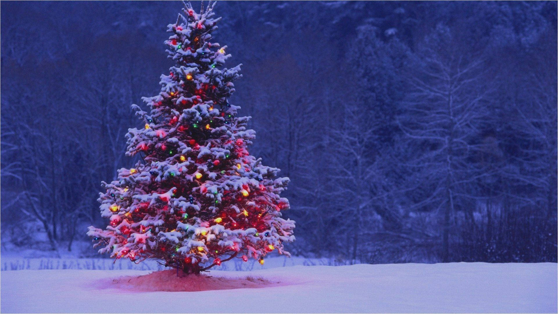 Purple Christmas Tree, snow-covered Christmas tree, colorful lights, Full HD Desktop Wallpaper