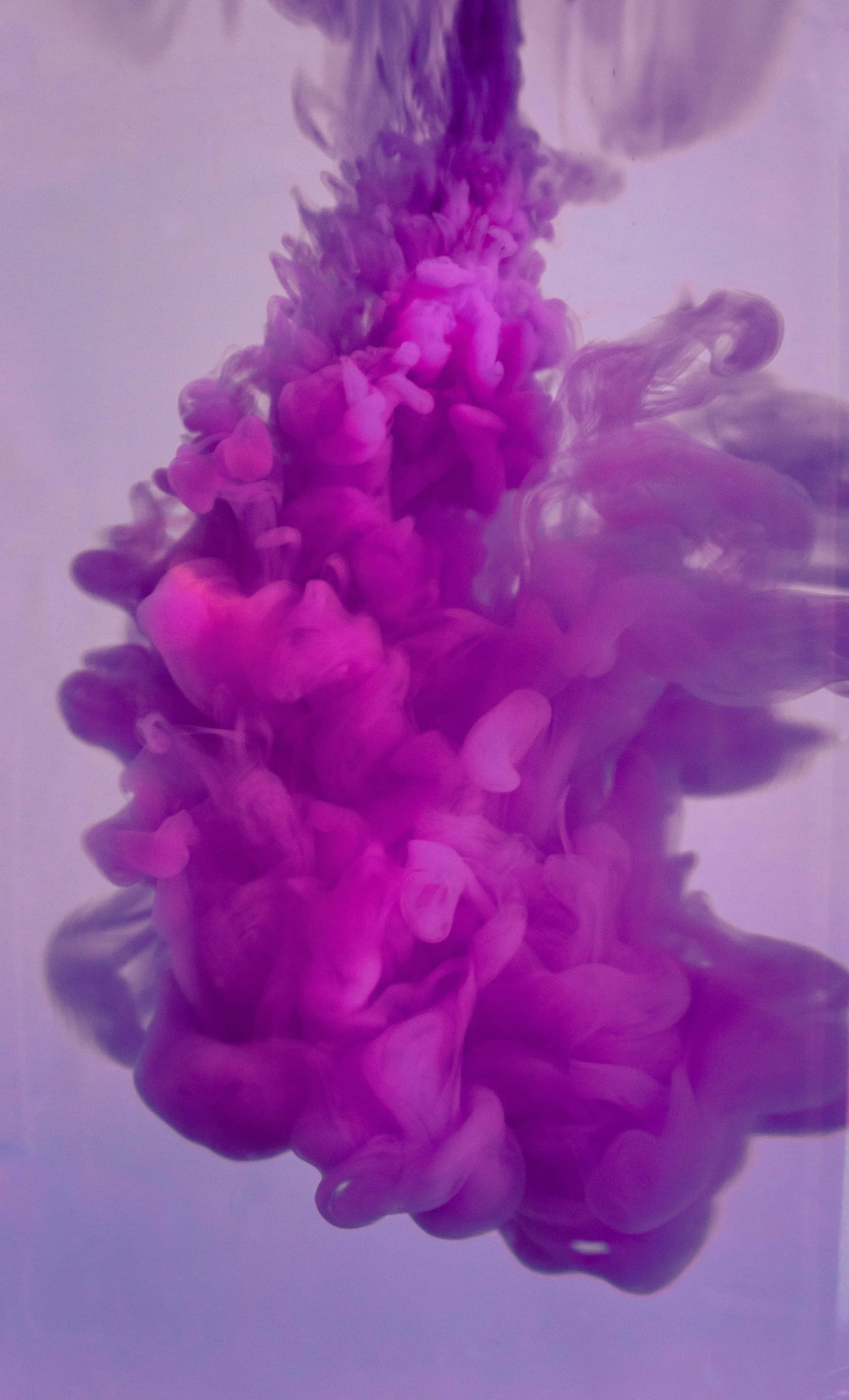 purple haze, magenta ink, clear liquid, 2K Phone Wallpaper