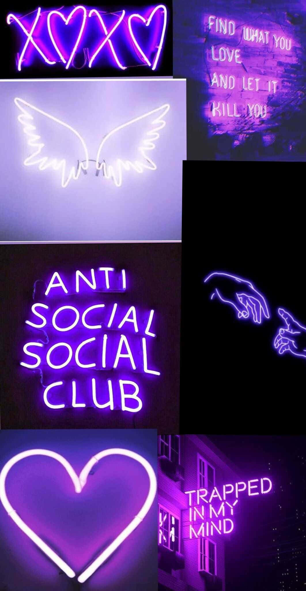 anti social club, neon signs, vibrant purple, Full HD Phone Wallpaper