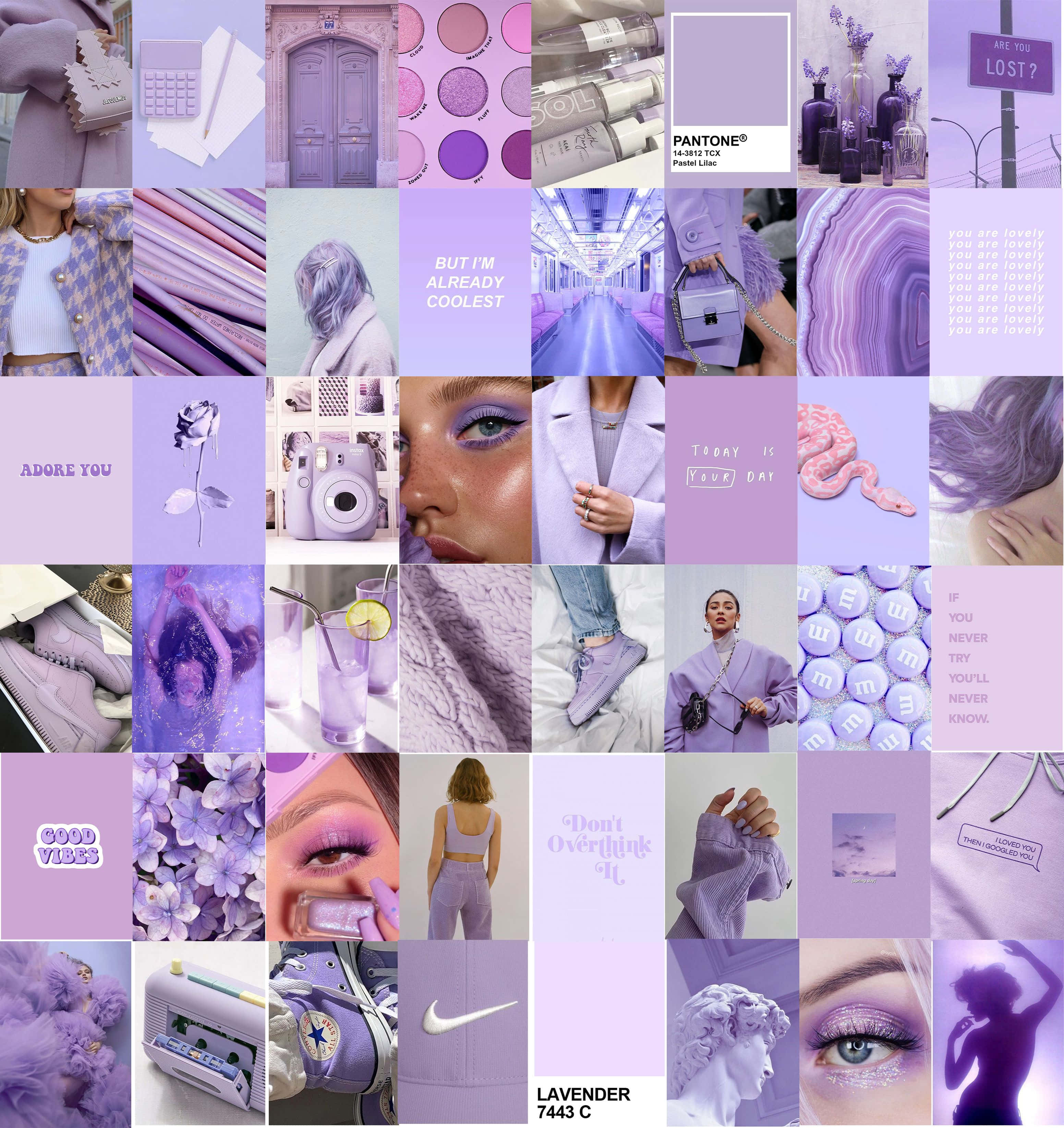 lavender, purple aesthetic, fashion accessories, 2K Phone Wallpaper