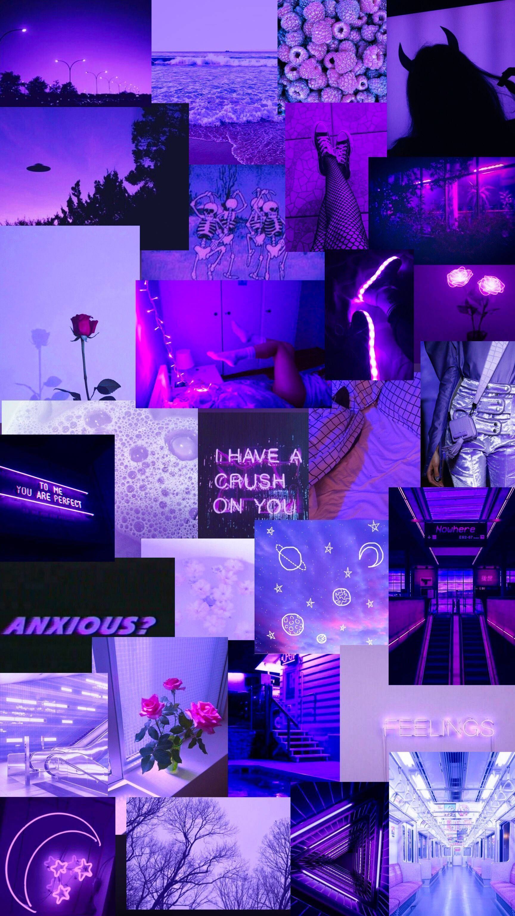 Purple Collage, neon lights, roses, 2K Phone Wallpaper