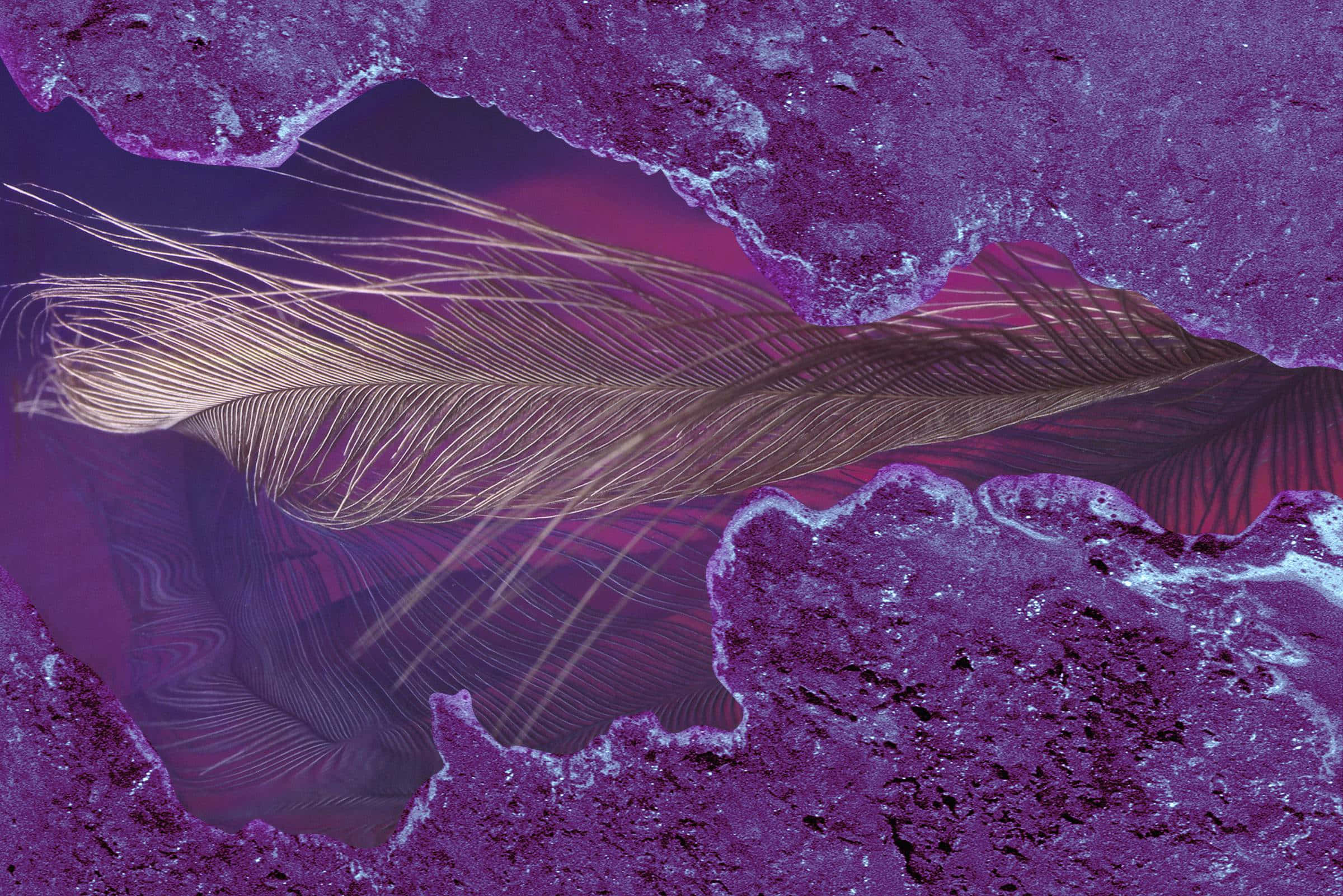 Purple Cool, deep purple, magenta, Full HD Desktop Wallpaper