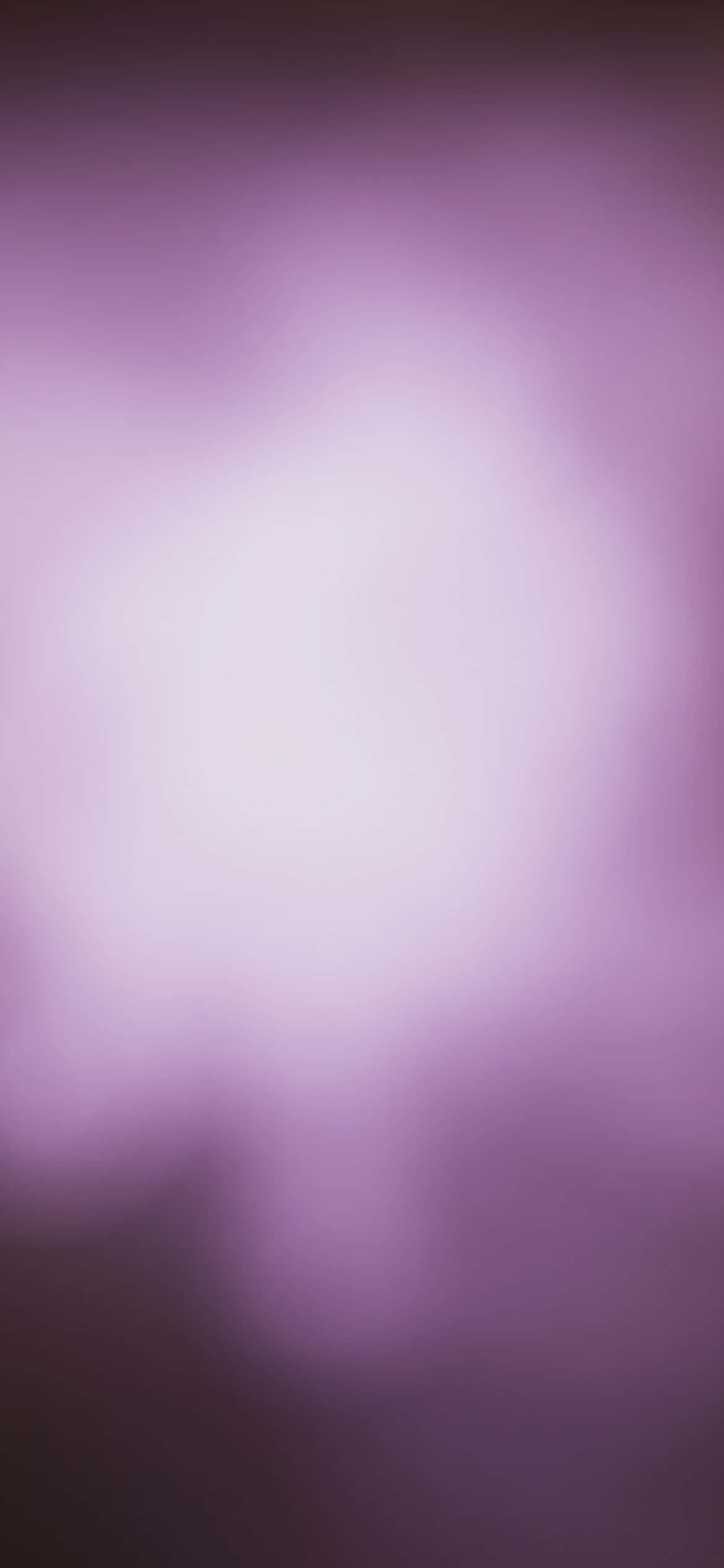 purple haze, lavender, mauve, Full HD Phone Wallpaper