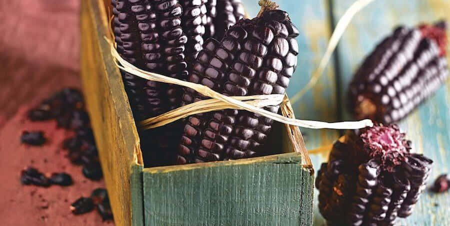 Purple Corn, dark purple corn cobs, twine, SD Desktop Wallpaper
