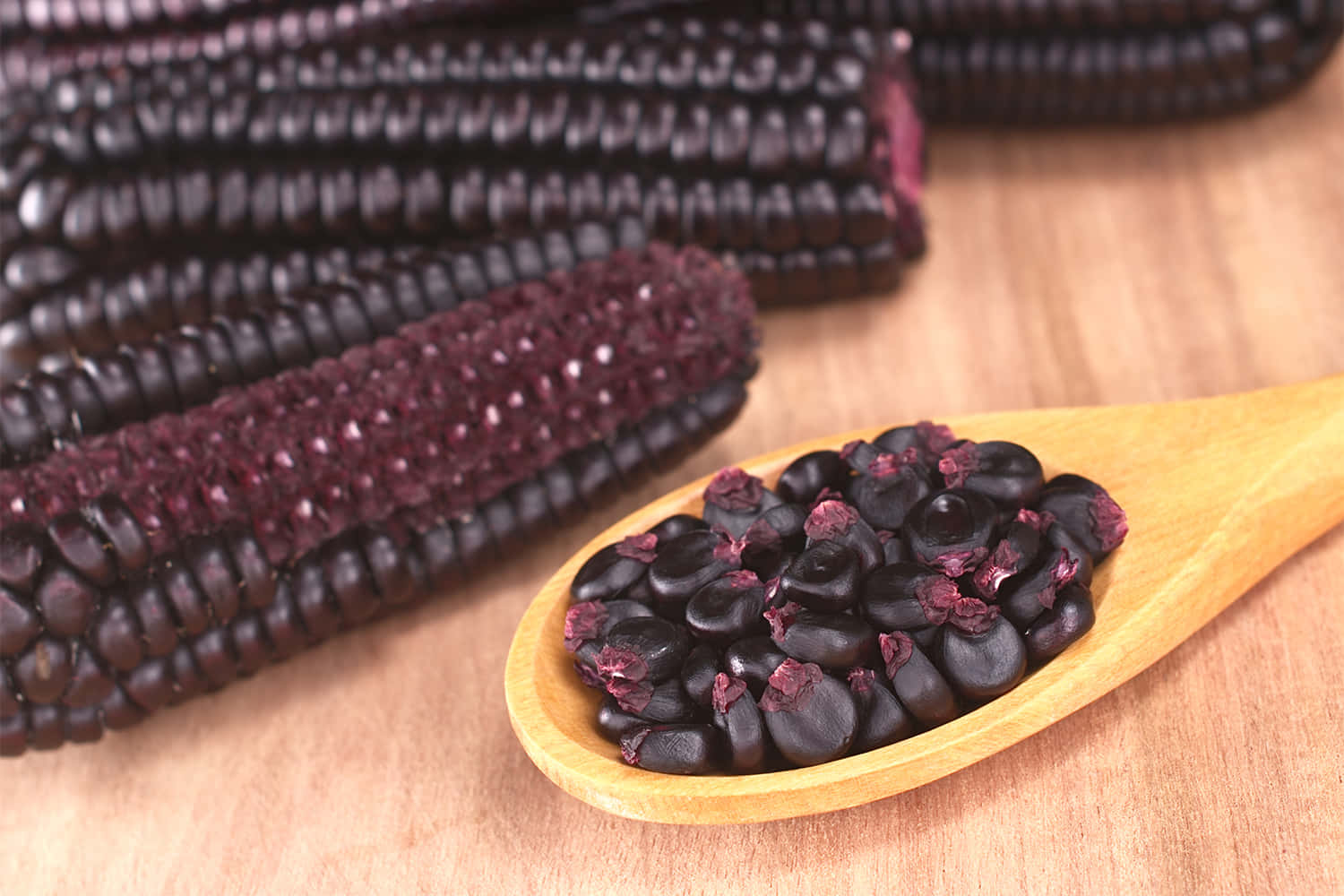 purple corn, glossy black corn kernels, whole purple corn cobs, HD Desktop Wallpaper