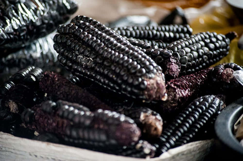 Purple Corn, glossy black corn cobs, rustic wooden bowl, SD Desktop Wallpaper