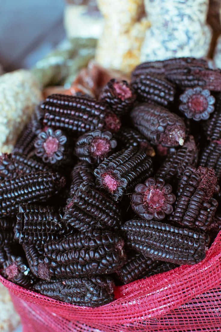 Purple Corn, dark purple corn cobs, pinkish centers, SD Phone Wallpaper