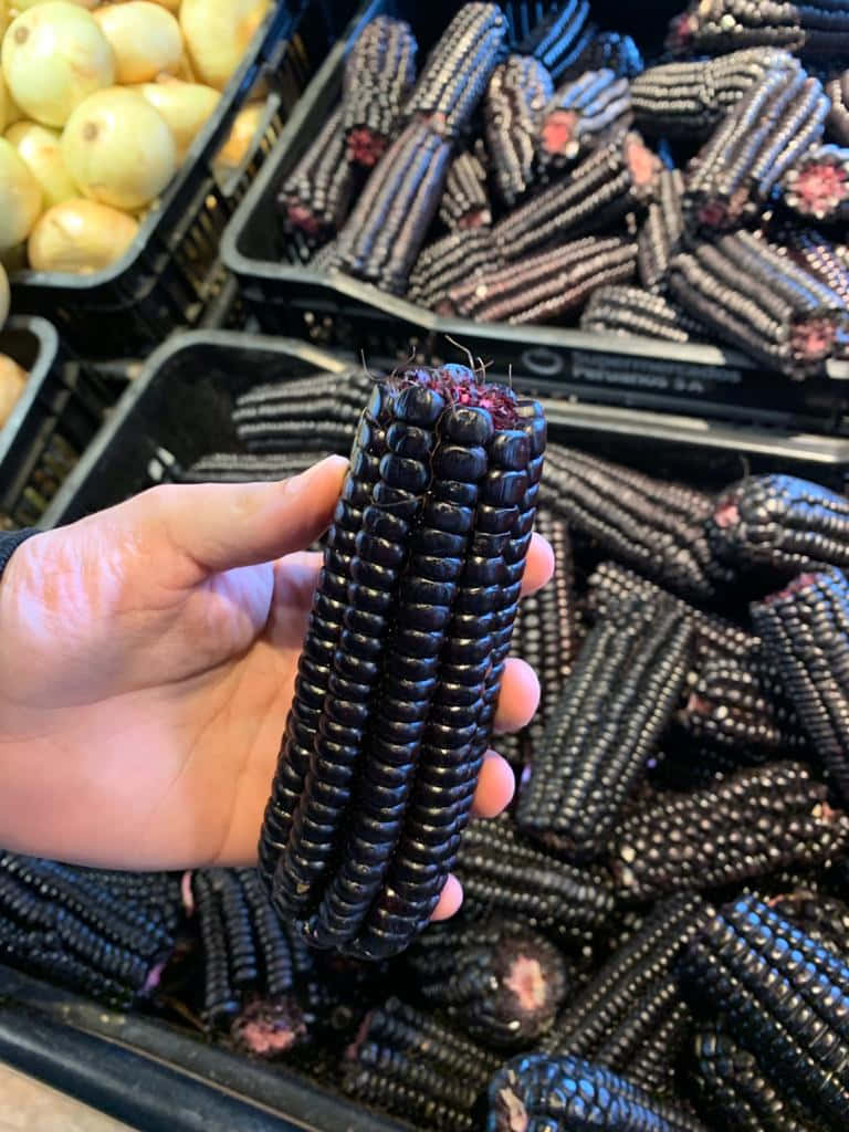 Purple Corn, glossy black corn cob, black crates, SD Phone Wallpaper