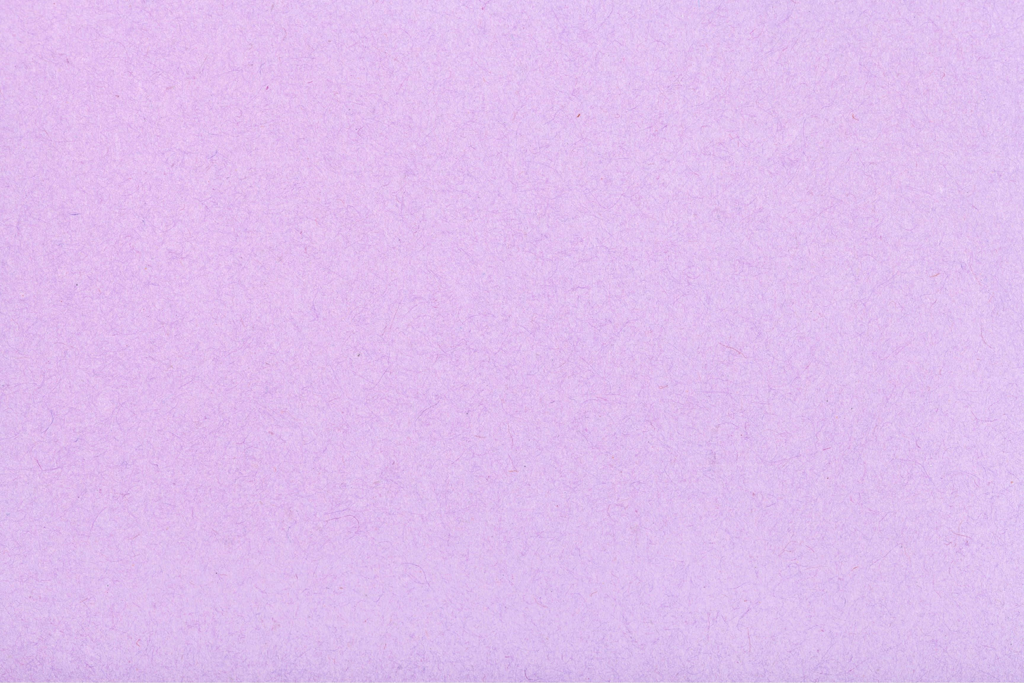 Purple Cotton, lavender, paper surface, 2K Desktop Wallpaper