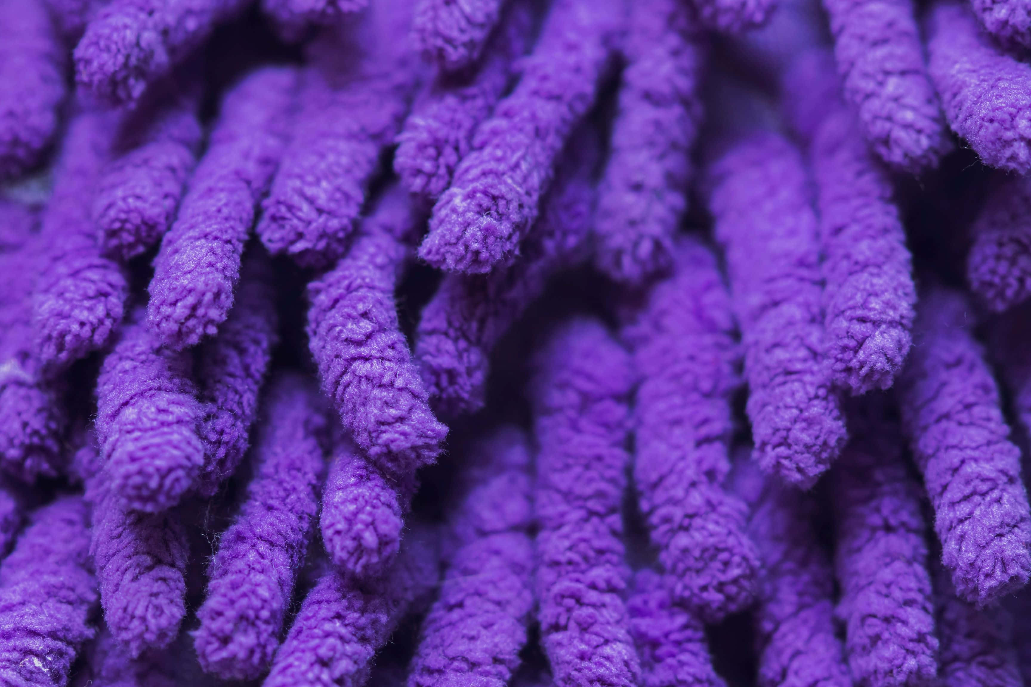 Purple Cotton, vibrant purple, microfiber strands, 2K Desktop Wallpaper
