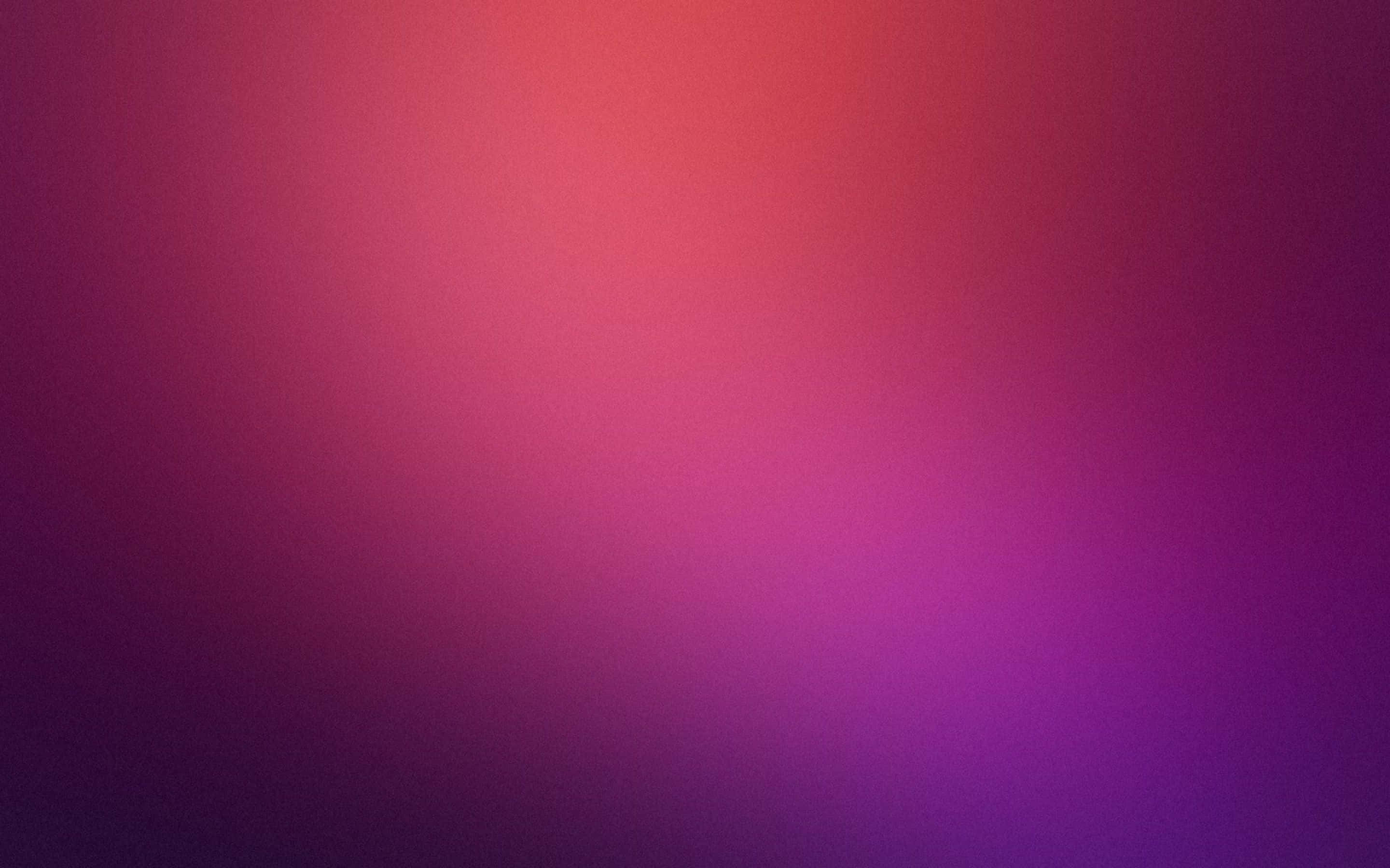 purple desktop, warm coral pink, deep violet purple, 2K Desktop Wallpaper