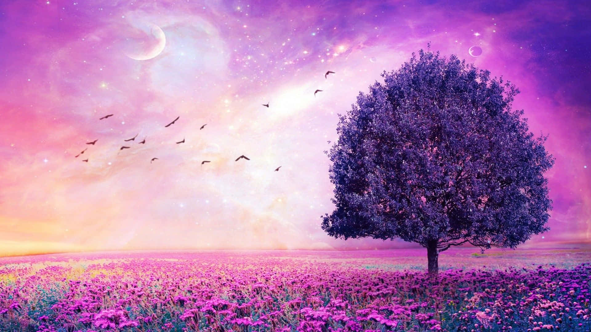 purple desktop, lone tree, field of purple flowers, Full HD Desktop Wallpaper
