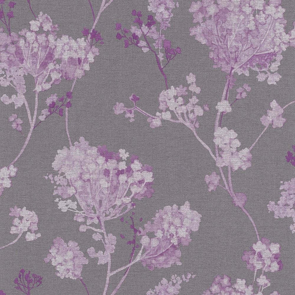purple desktop, 1000 x 1000, purple, SD Desktop Wallpaper