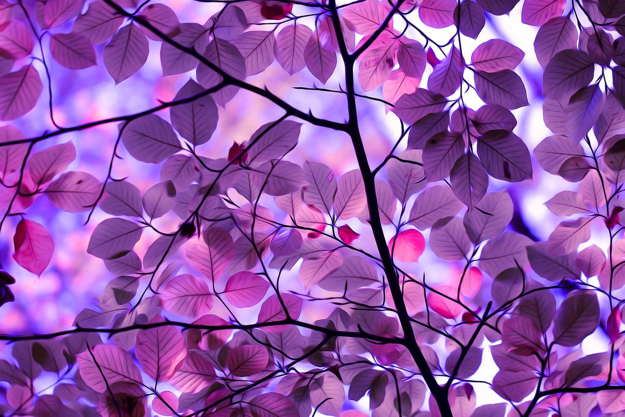 vibrant purple desktop, vibrant purple leaves, dreamy twilight sky, Full HD Desktop Wallpaper
