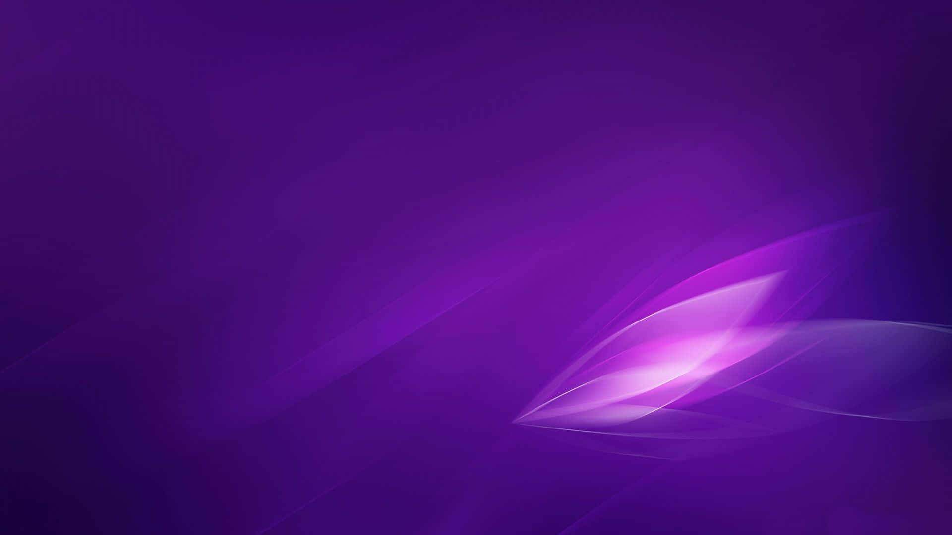 purple dragon, 1920 x 1080, deep violet gradient, Full HD Desktop Wallpaper