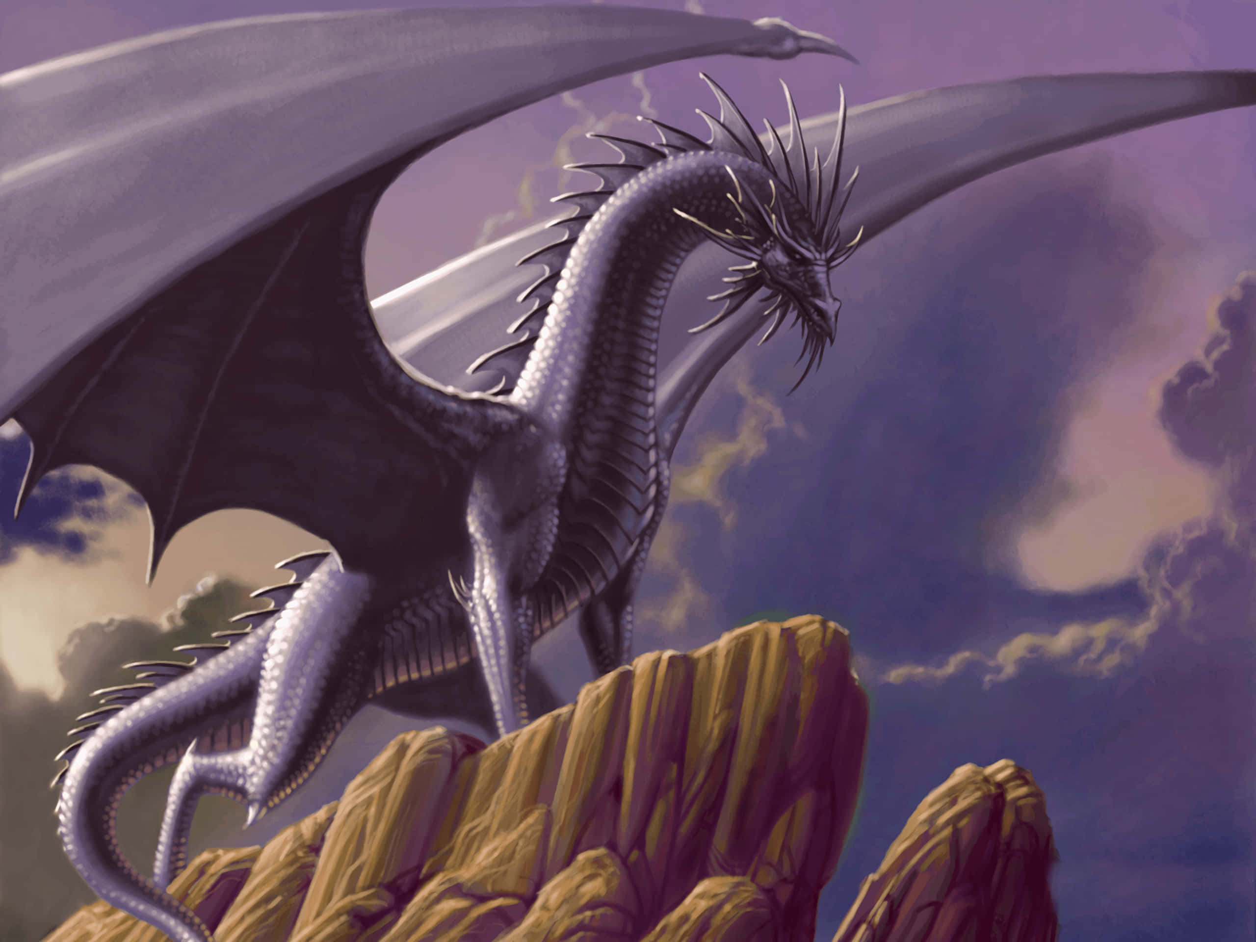 Purple Dragon, silver dragon, spiked scales, 2K Desktop Wallpaper