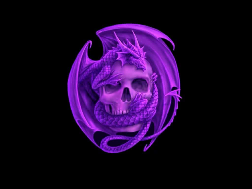 Purple Dragon, skull, glowing purple, SD Desktop Wallpaper