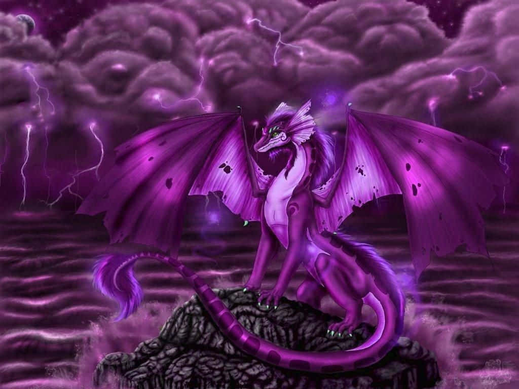 Purple Dragon, glowing eyes, rocky outcrop, SD Desktop Wallpaper