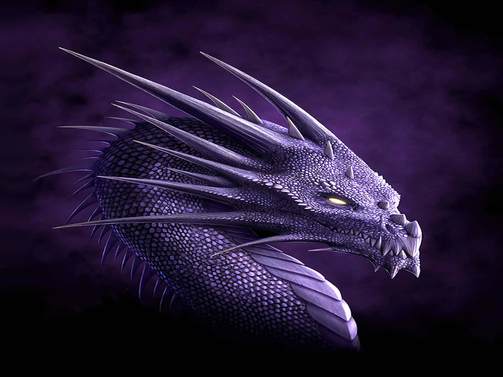 Purple Dragon, glowing yellow eyes, sharp spines, HD Desktop Wallpaper