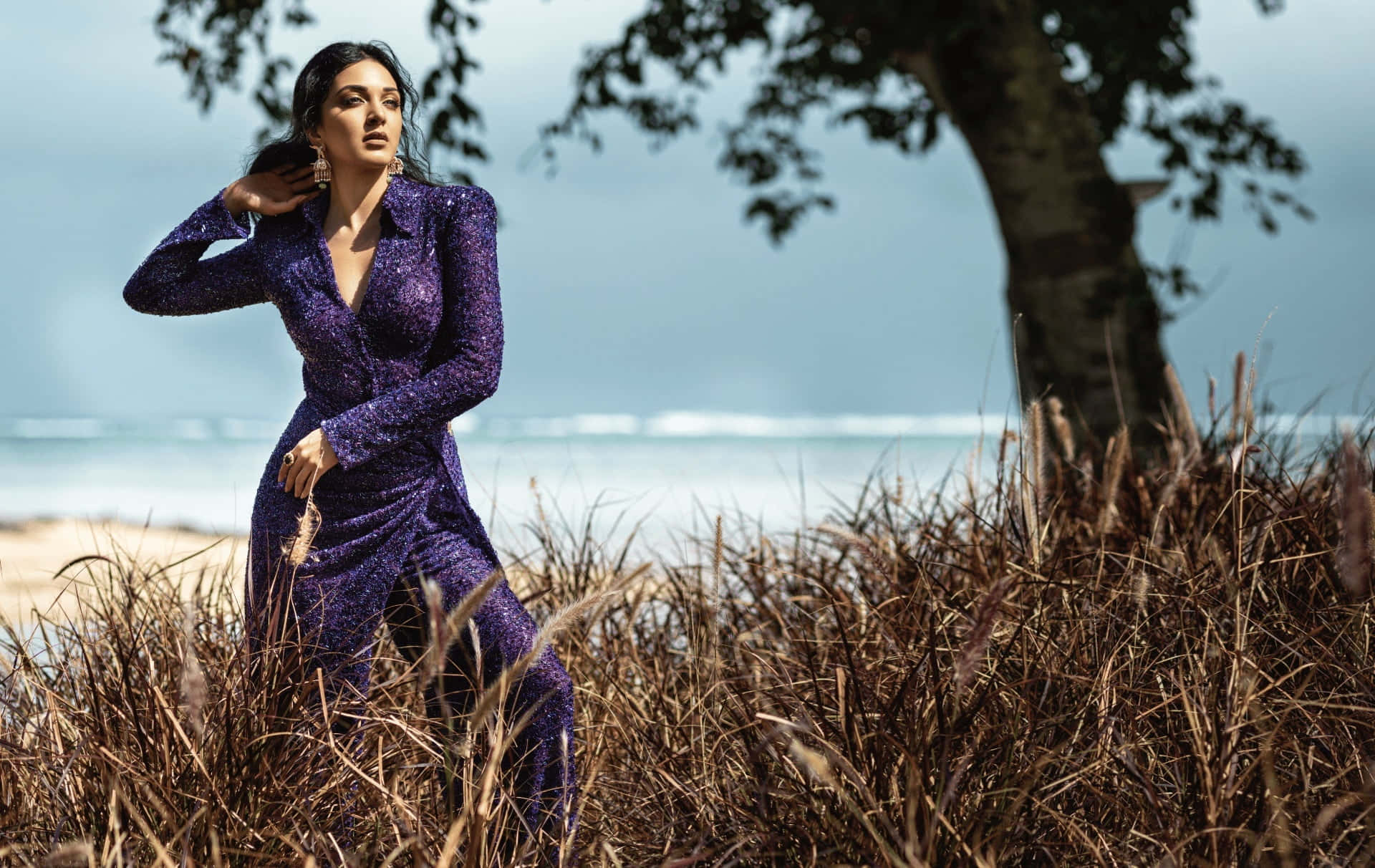 purple dress, shimmering purple dress, tall dry grass, Full HD Desktop Wallpaper