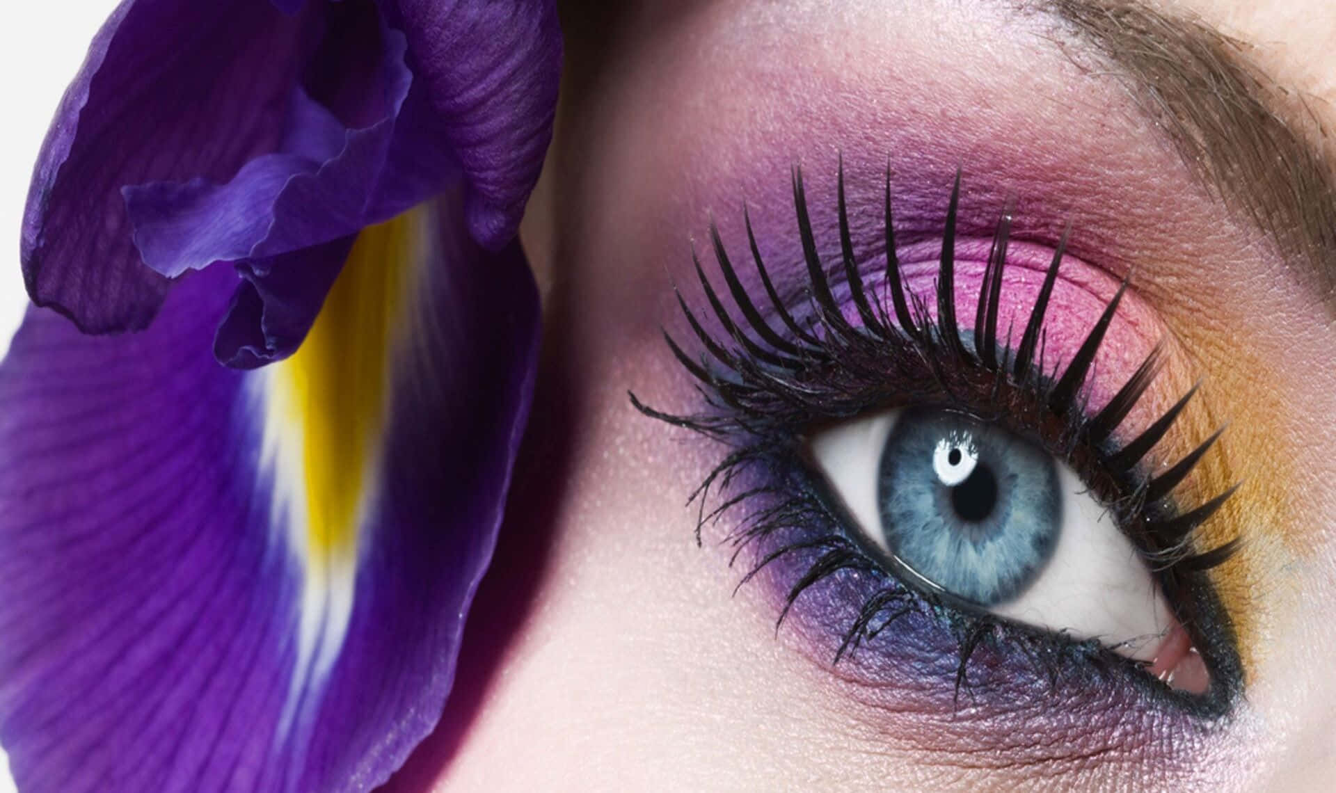 Purple Eye Shadow, vivid blue eye, purple pink and gold eyeshadow, Full HD Desktop Wallpaper