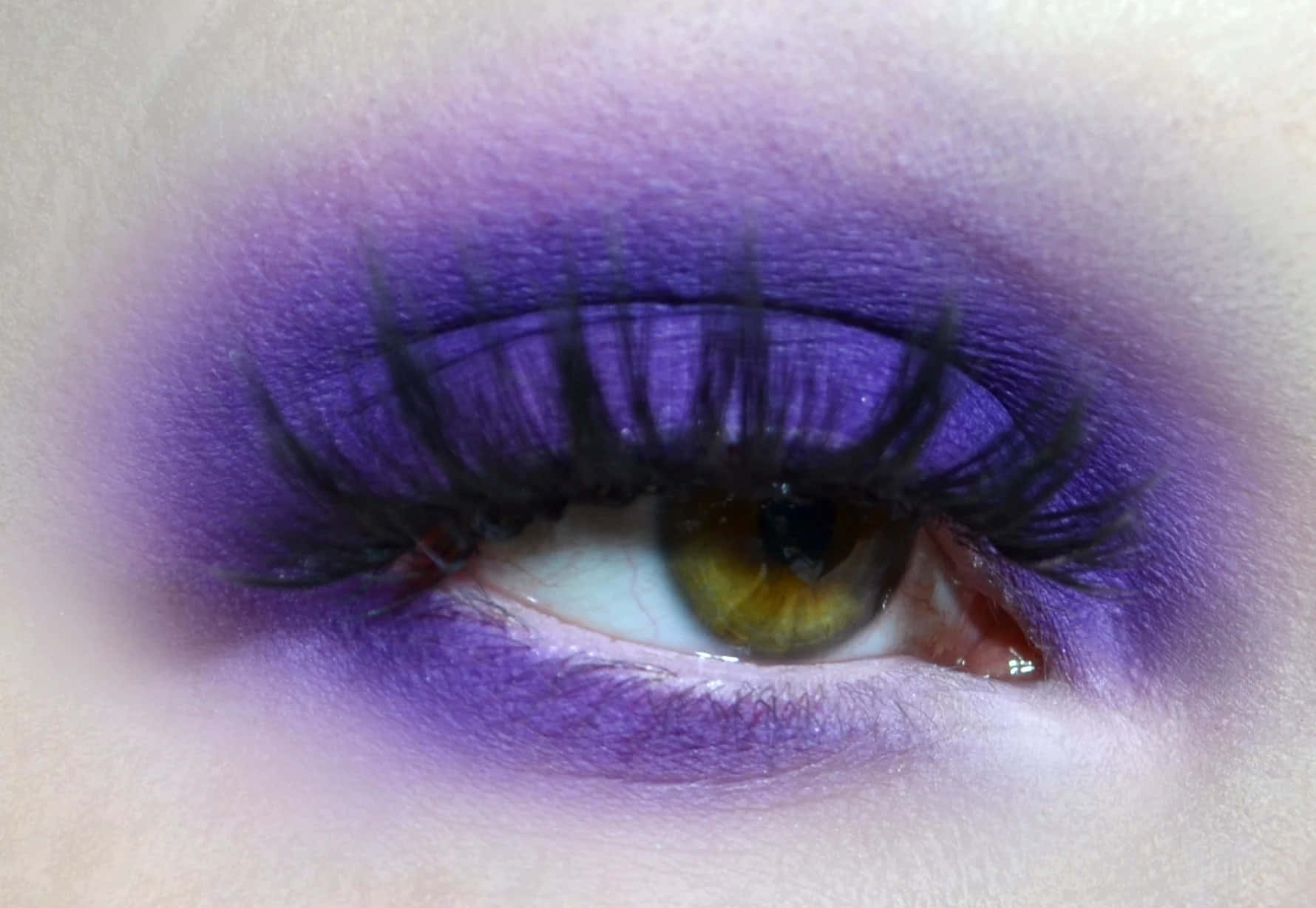 Purple Eye Shadow, purple eyeshadow, black lashes, HD Desktop Wallpaper
