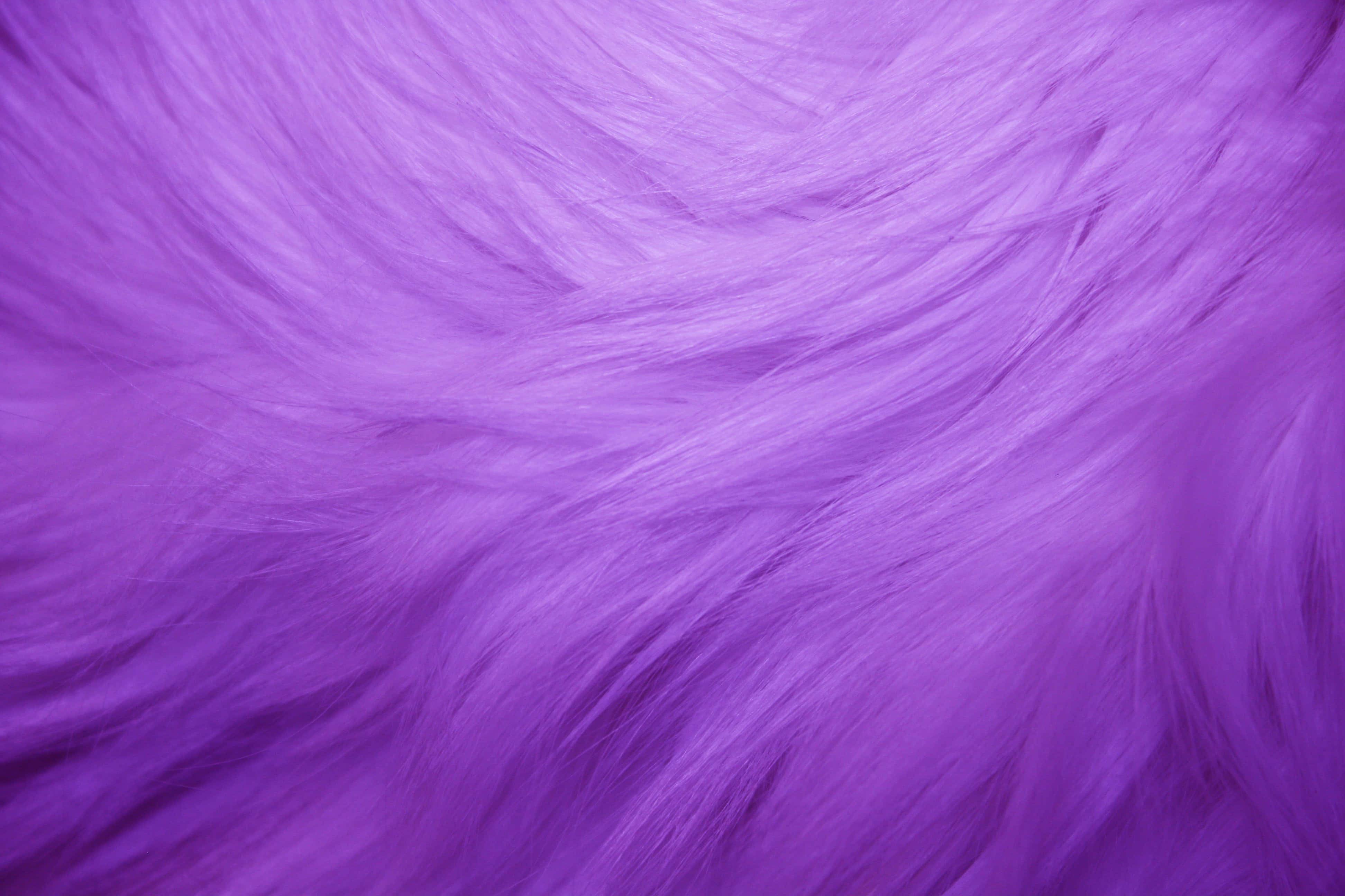 purple fur, soft fluffy purple fur, gentle waves, 4K Desktop Wallpaper