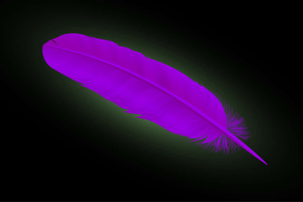 Purple Feathers, glowing purple feather, dark gradient background, SD Desktop Wallpaper