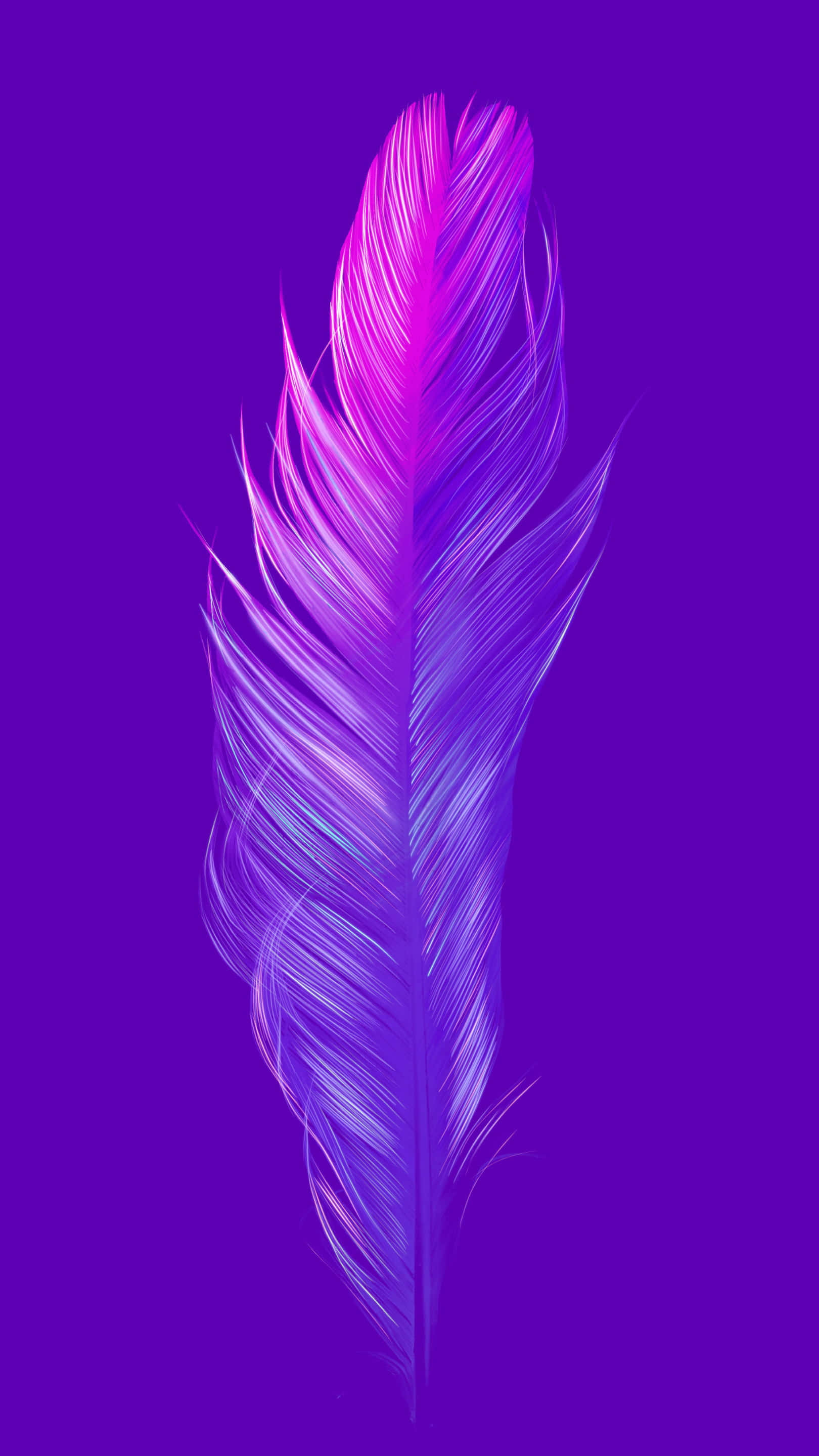 Purple Feathers, peacock feathers, pink and purple hues, 2K Phone Wallpaper