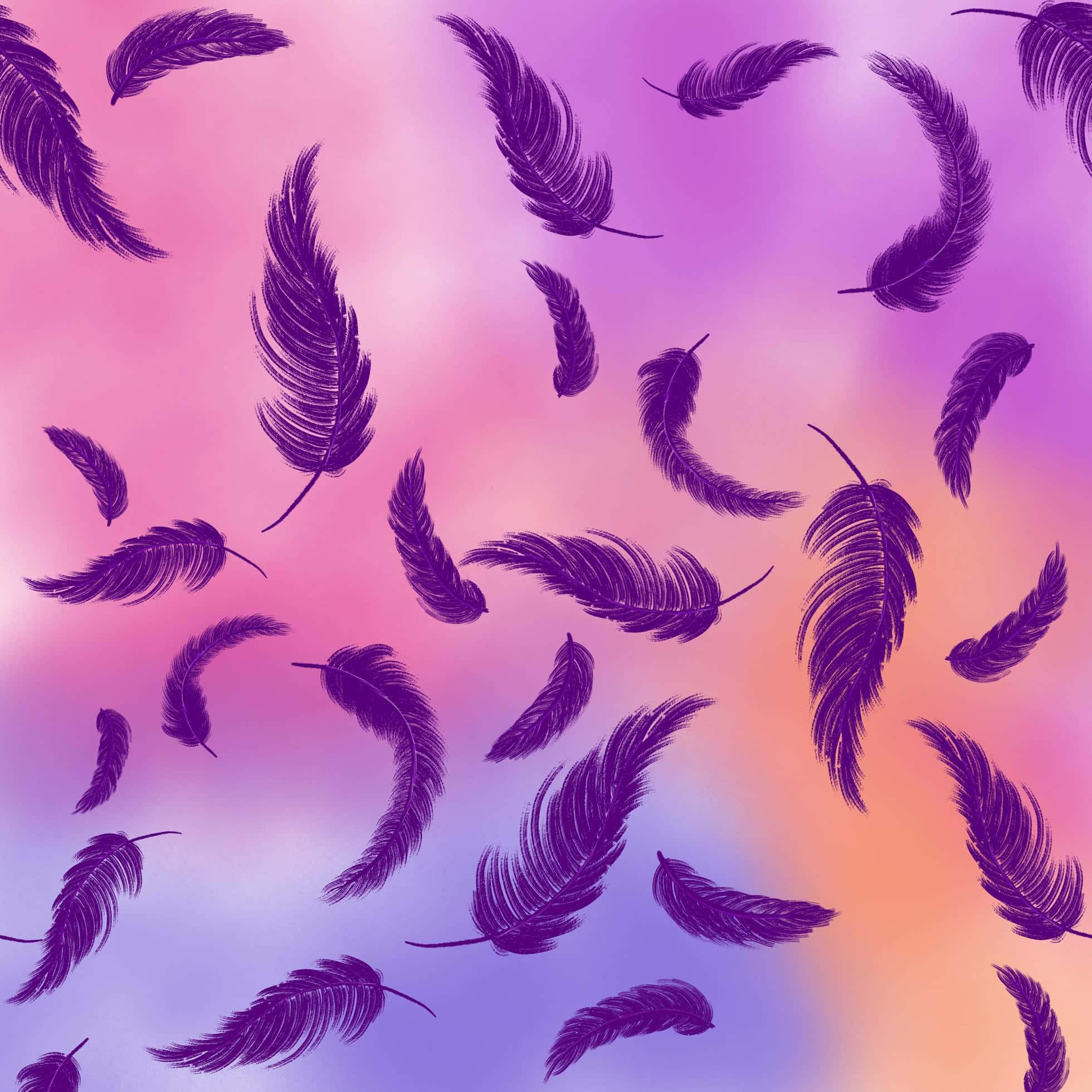 Purple Feathers, pink lavender, peach, Full HD Desktop Wallpaper