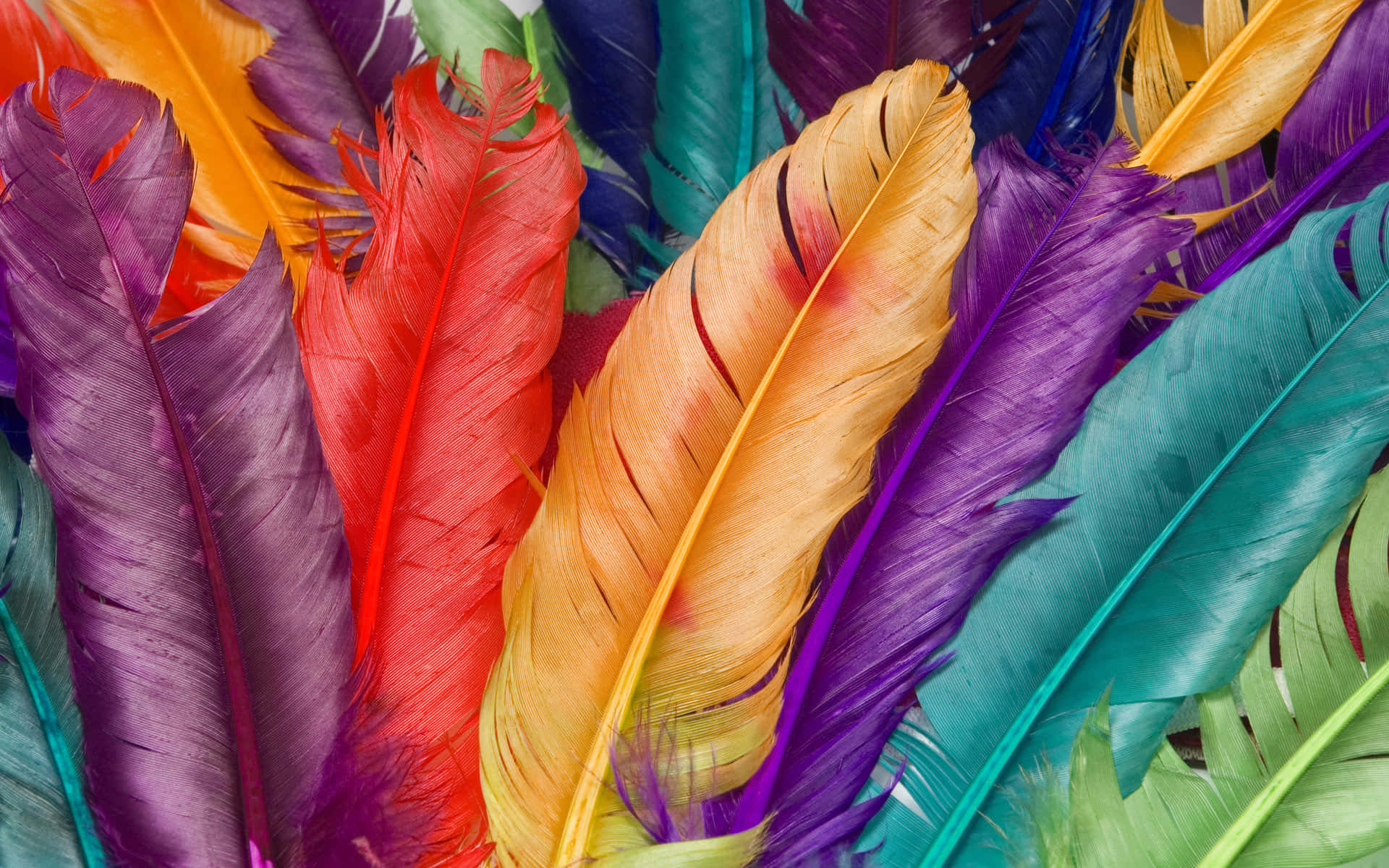 red, purple, teal, Full HD Desktop Wallpaper
