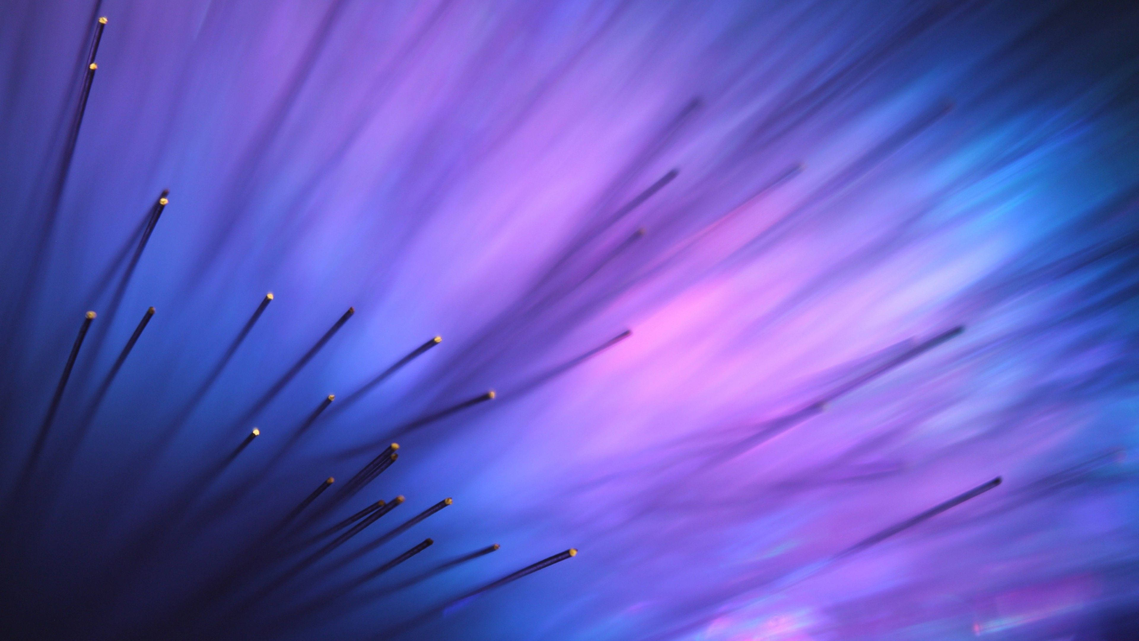 dark purple collage aesthetic, 3840 x 2160, purple and blue flower, 4K Desktop Wallpaper