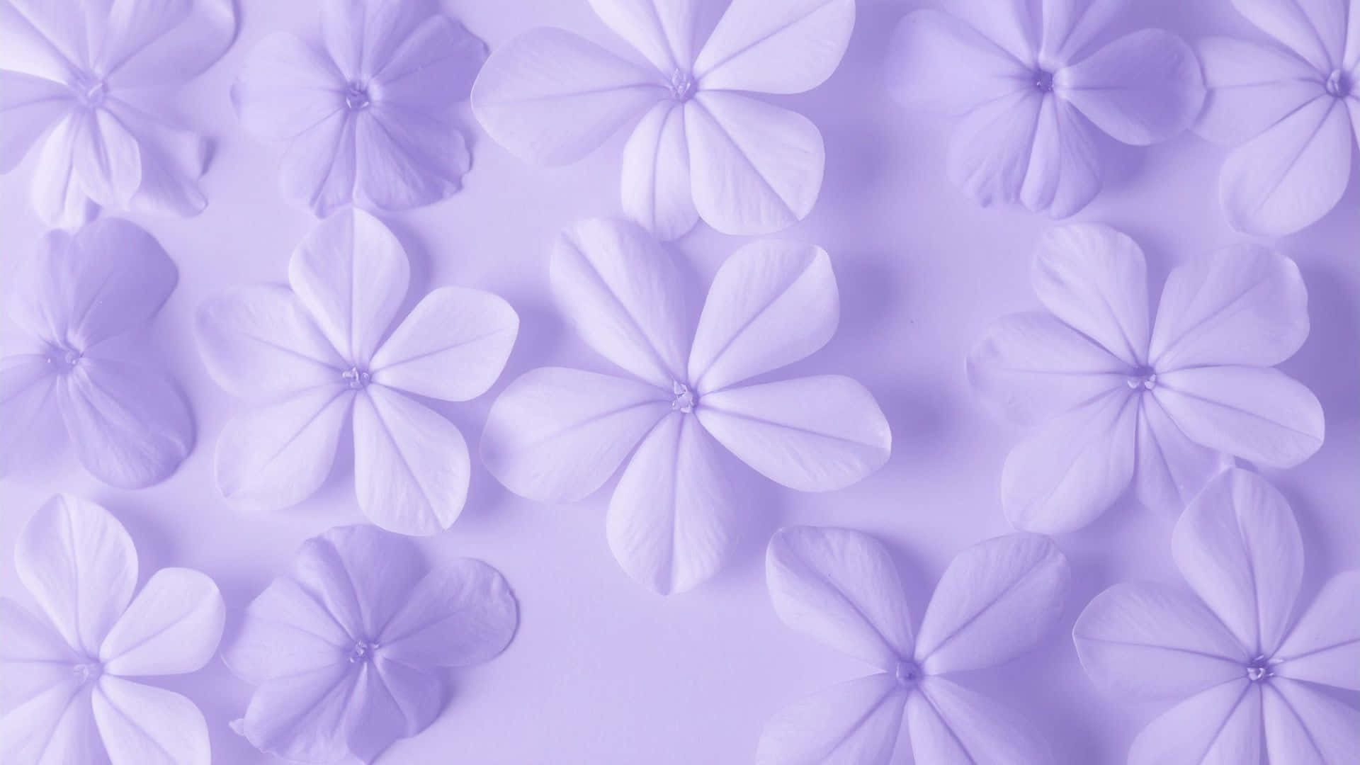 Purple Floral Pattern, soft lavender paper flowers, repeating pattern, Full HD Desktop Wallpaper