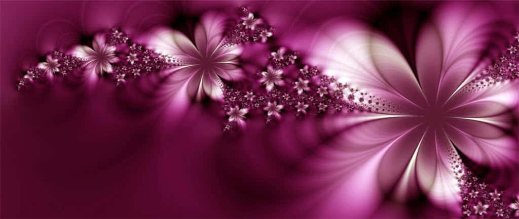 purple flower, glowing purple flowers, deep magenta background, SD Desktop Wallpaper