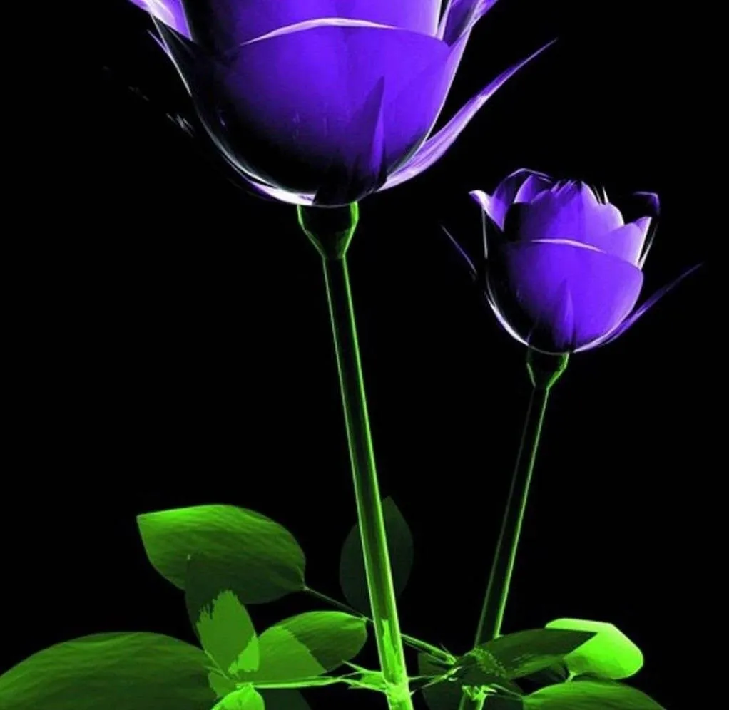 Purple Flower iPhone