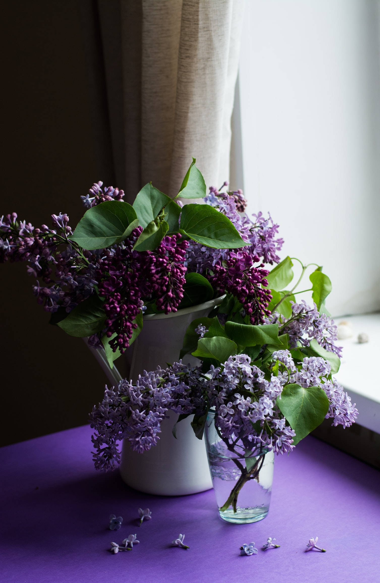 purple lilac blossoms, white pitcher, glass vase, Full HD Phone Wallpaper